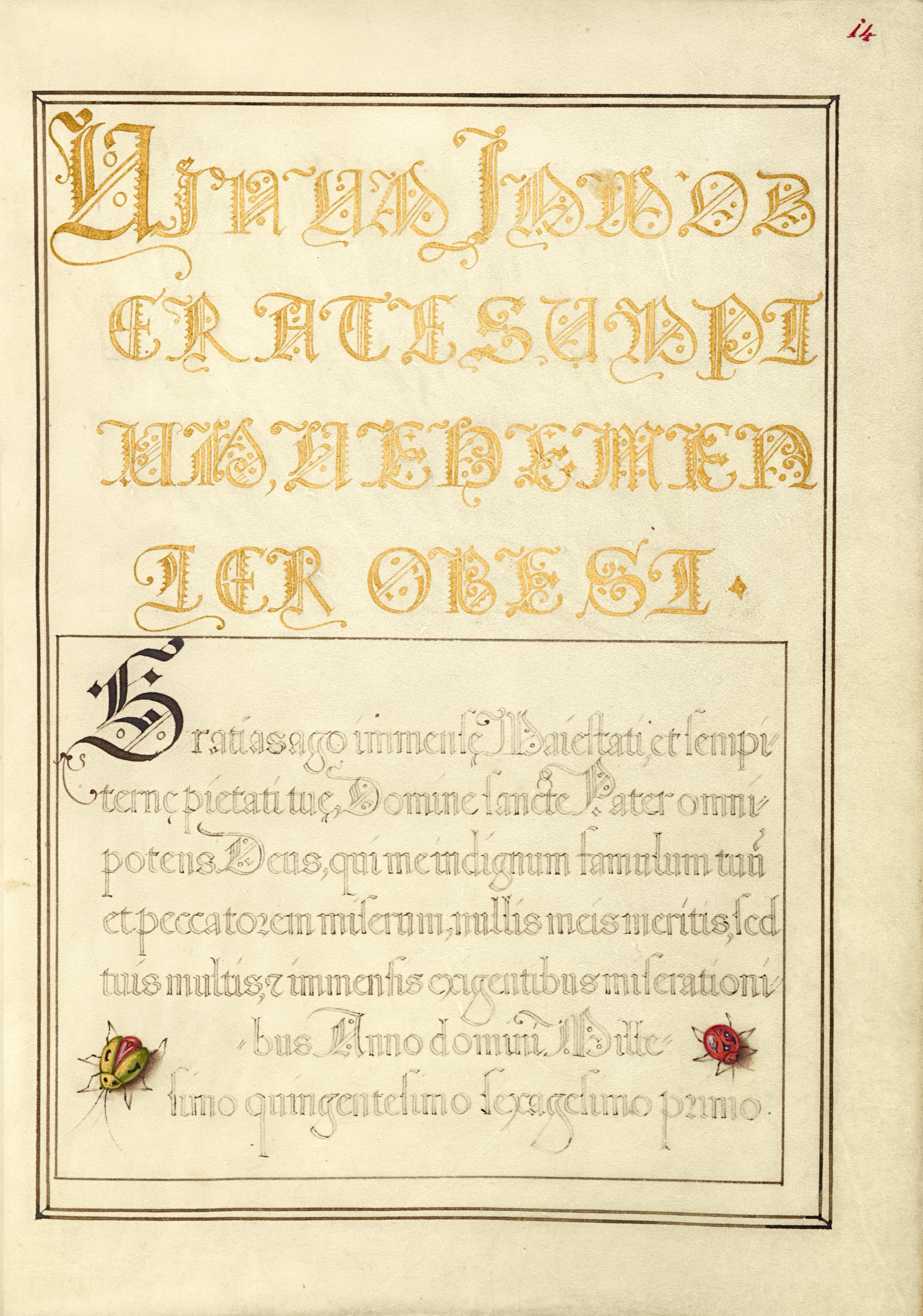 Beetlelike Insects — Joris Hoefnagel (Illuminator); Georg Bocskay (Scribe)