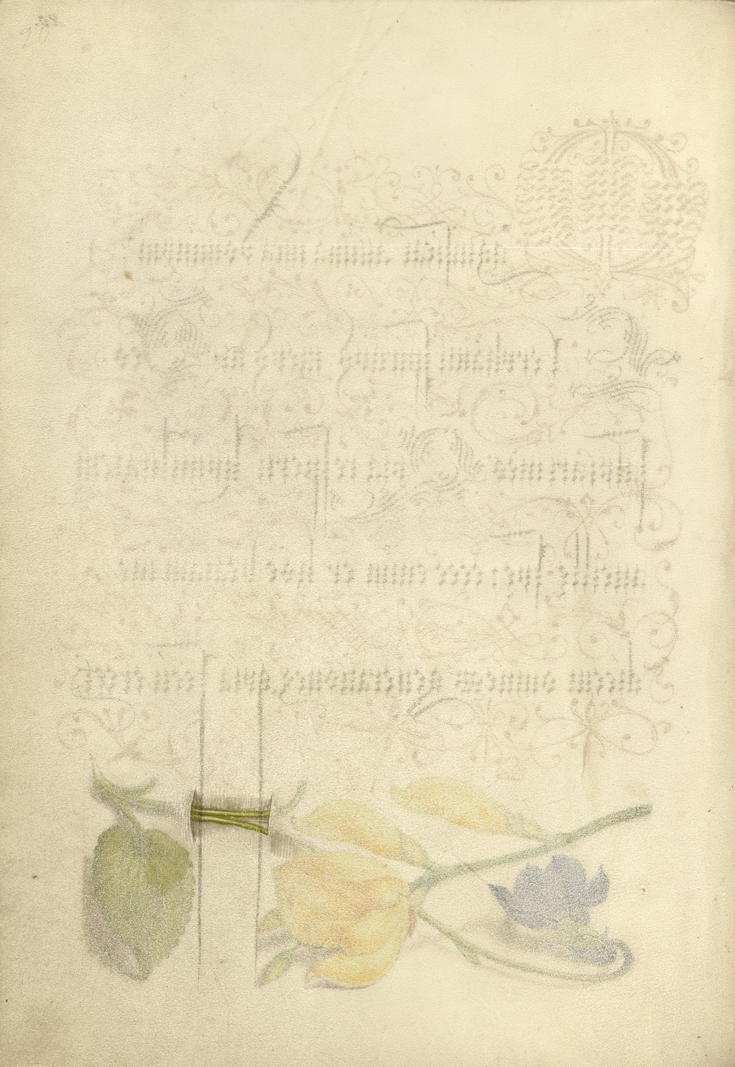 Trompe l'Oeil Stem of a Sweet Violet — Joris Hoefnagel (Illuminator)