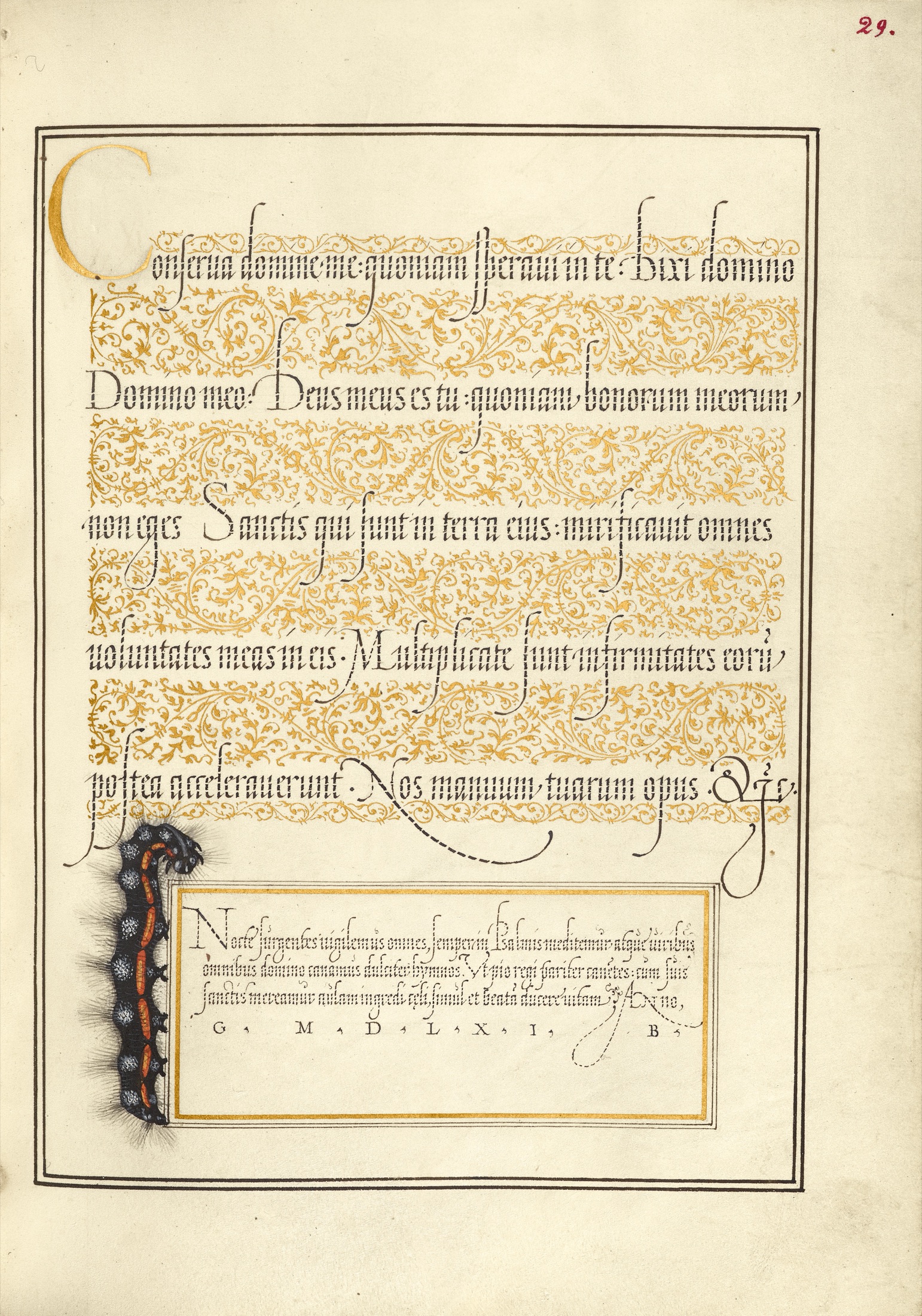 Dagger — Joris Hoefnagel (Illuminator); Georg Bocskay (Scribe)