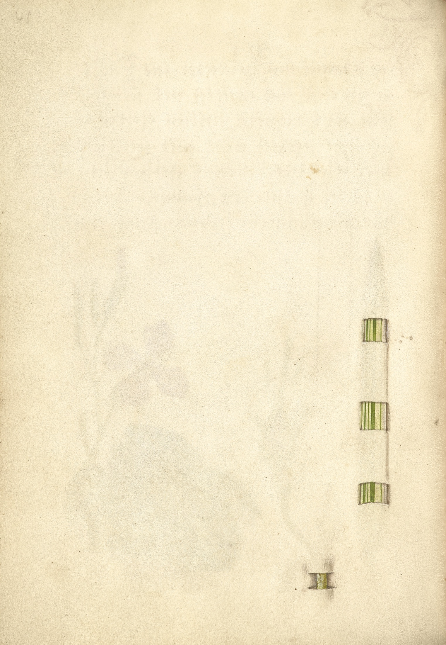 Trompe l'Oeil Blade of Reed Grass and Stem of a French Rose — Joris Hoefnagel (Illuminator)
