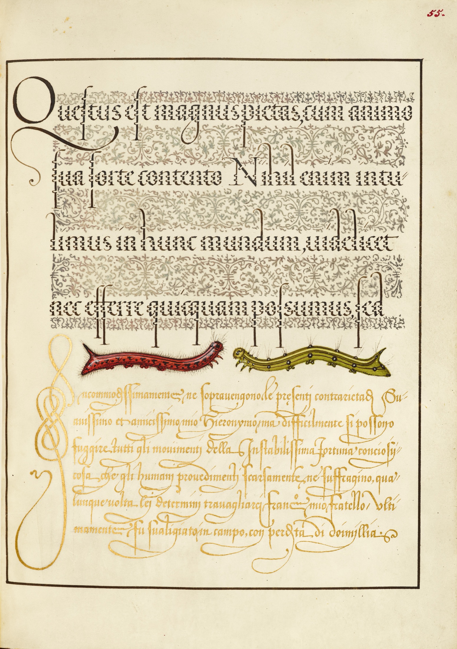Caterpillars — Joris Hoefnagel (Illuminator); Georg Bocskay (Scribe)