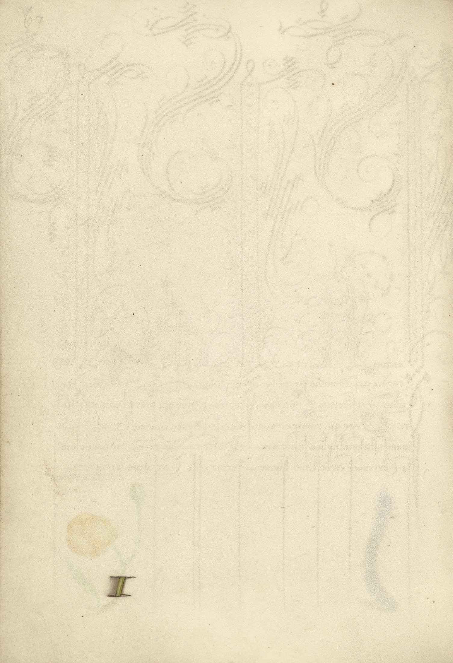 Trompe l'Oeil Stem of a Globeflower — Joris Hoefnagel (Illuminator)