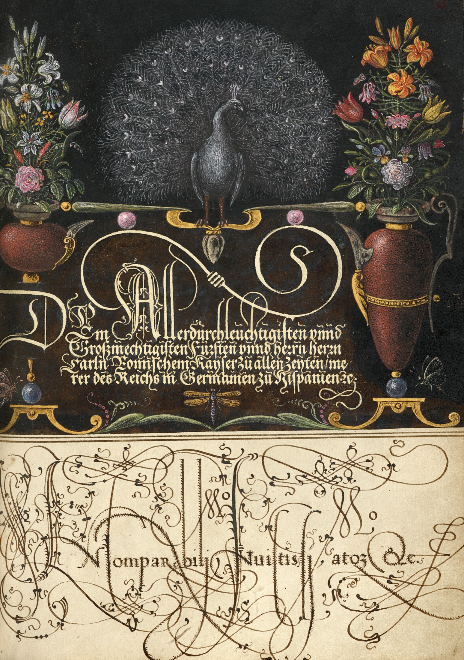 Flower Arrangements, Peacock, Butterflies, and Insect — Joris Hoefnagel (Illuminator); Georg Bocskay (Scribe)