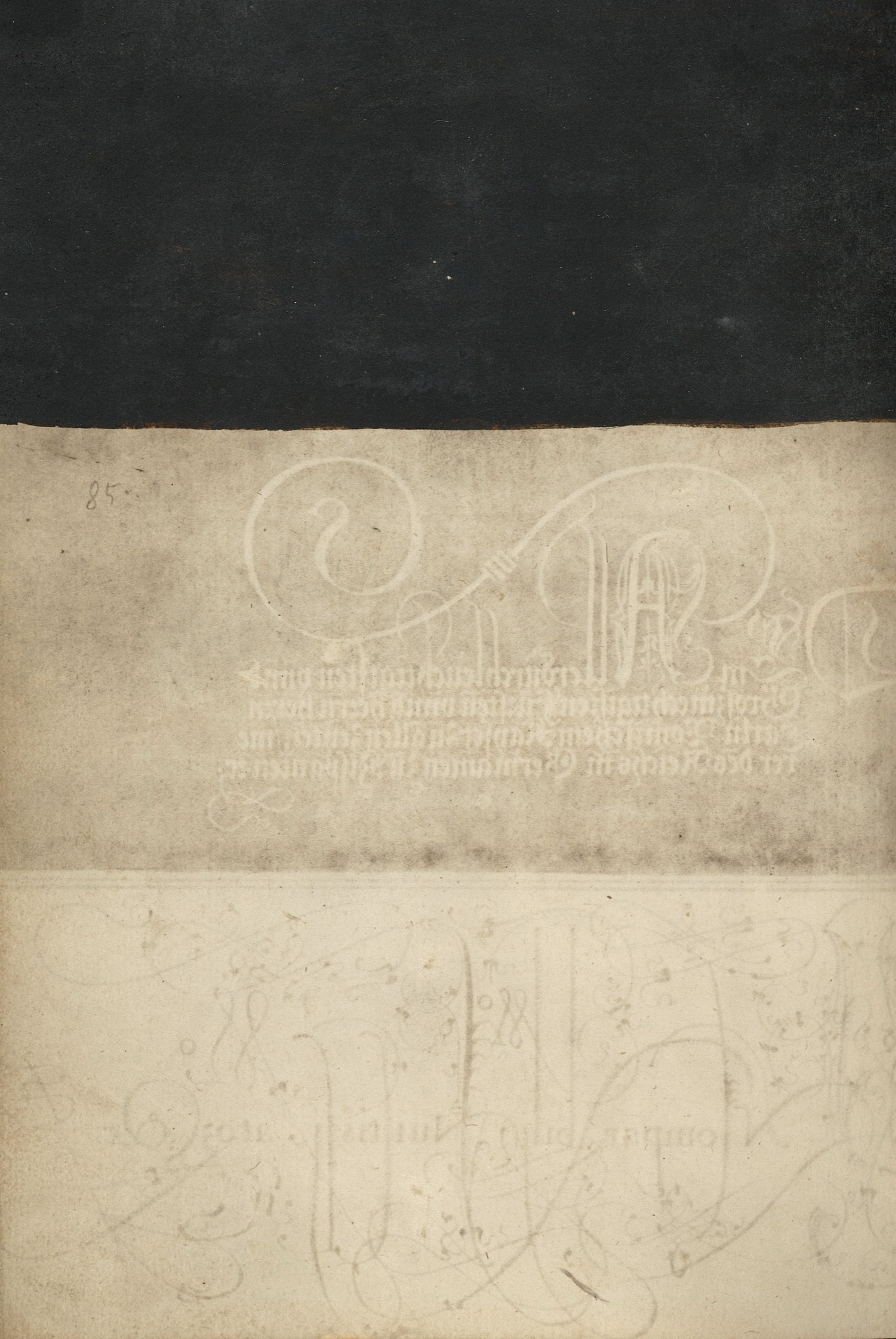 Partial black background for preceding recto — Joris Hoefnagel (Illuminator)