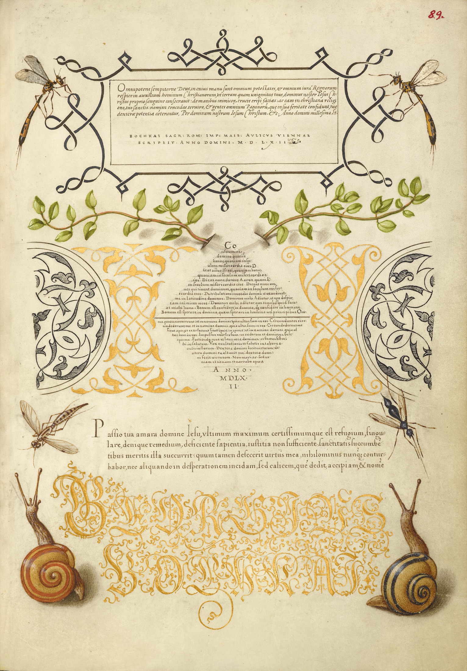Insects, Basil Thyme, and Land Snails — Joris Hoefnagel (Illuminator); Georg Bocskay (Scribe)