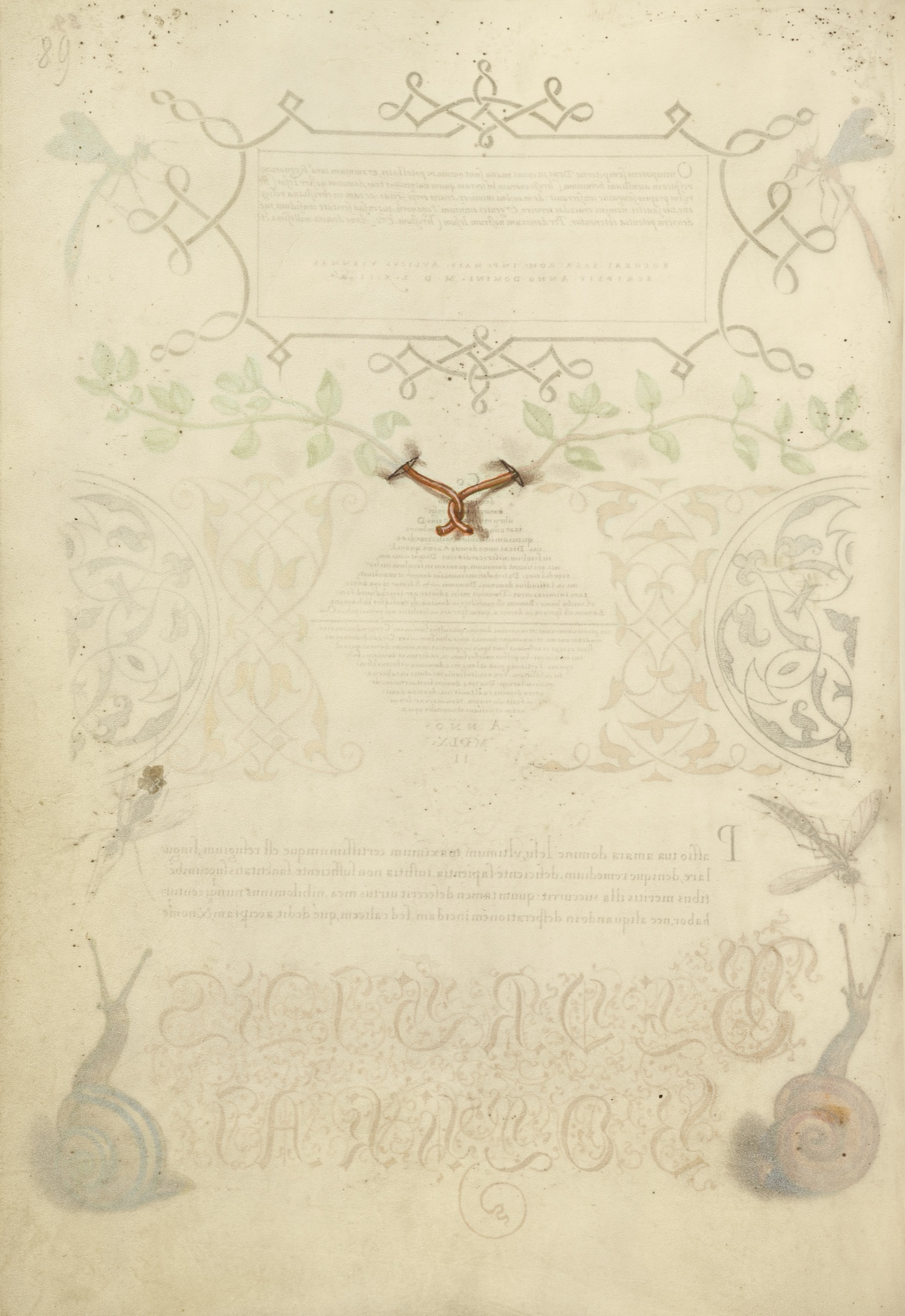 Intertwined Trompe l'Oeil Stems of Basil Thyme — Joris Hoefnagel (Illuminator)