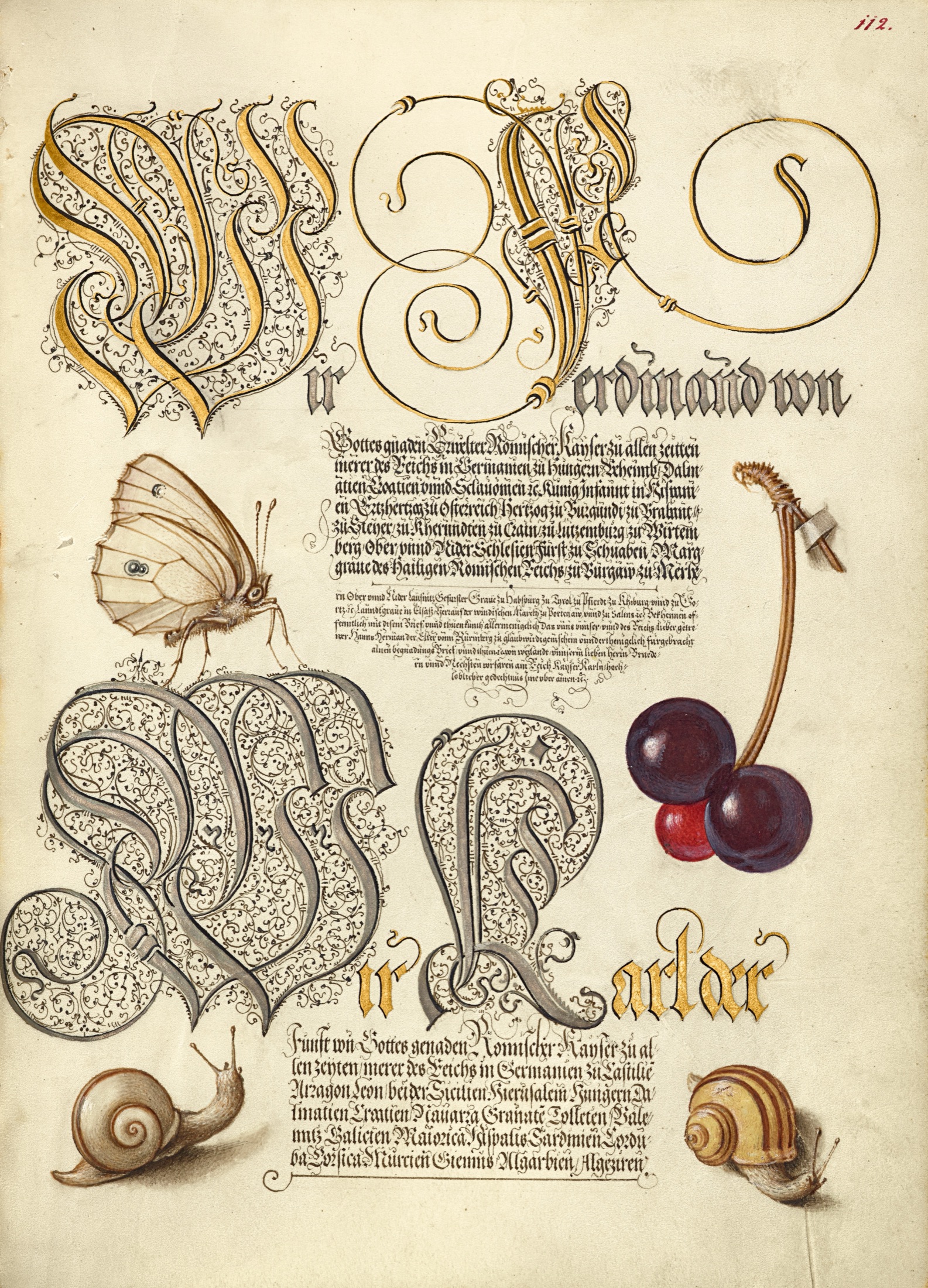 Butterfly, Sweet Cherry, and Land Snails — Joris Hoefnagel (Illuminator); Georg Bocskay (Scribe)