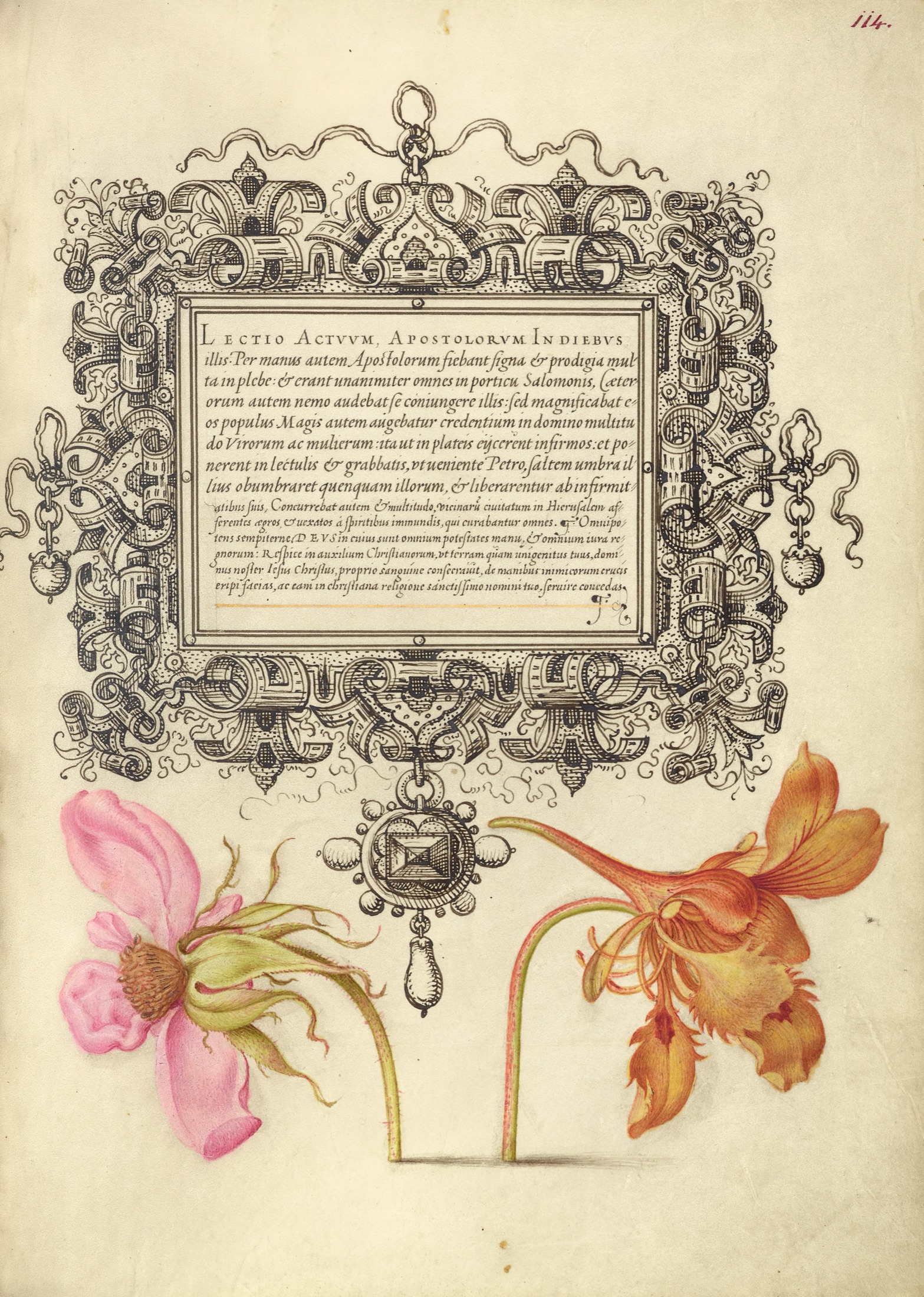 French Rose and Dwarf Nasturtium — Joris Hoefnagel (Illuminator); Georg Bocskay (Scribe)