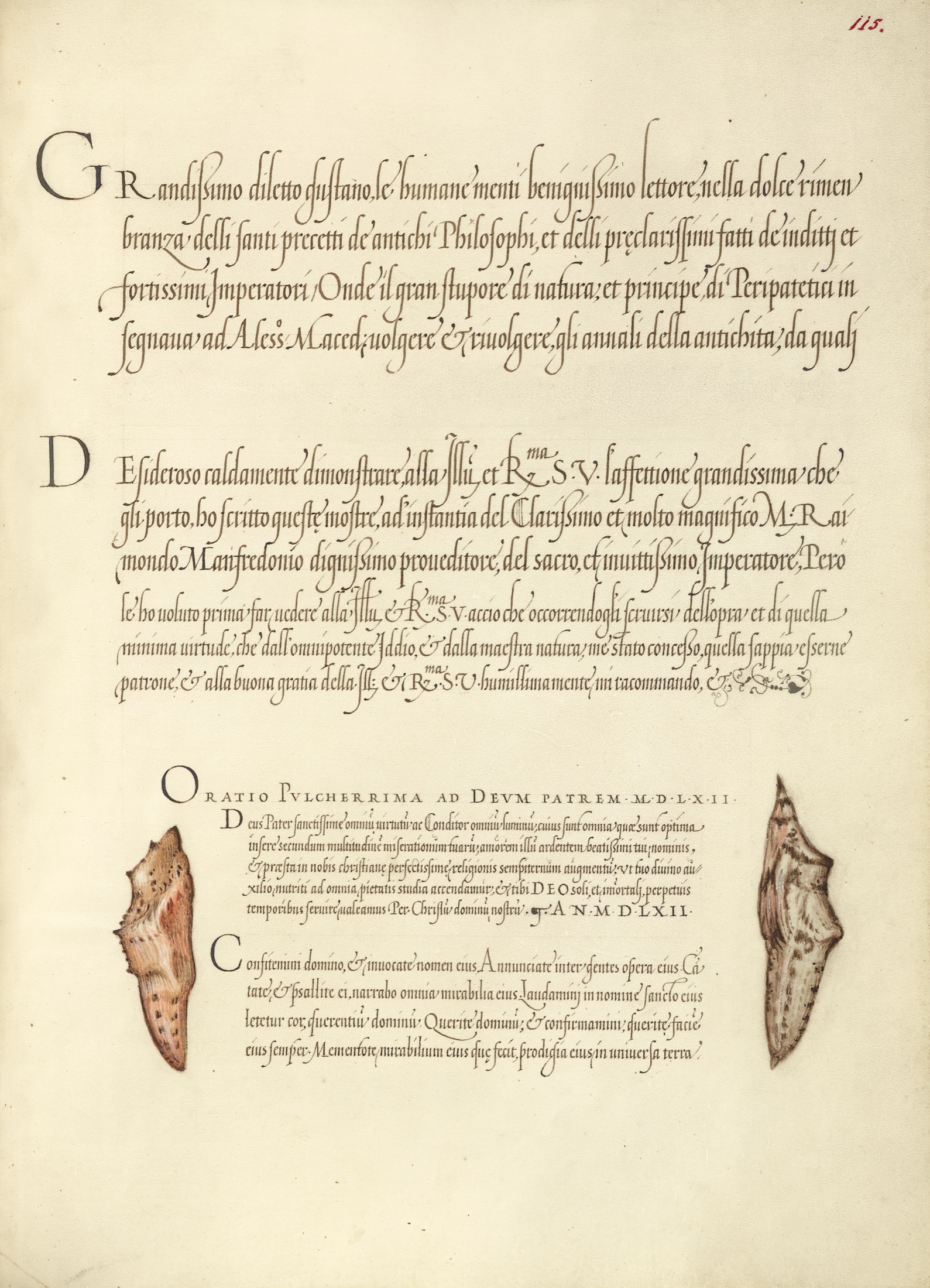 Butterfly Pupae — Joris Hoefnagel (Illuminator); Georg Bocskay (Scribe)