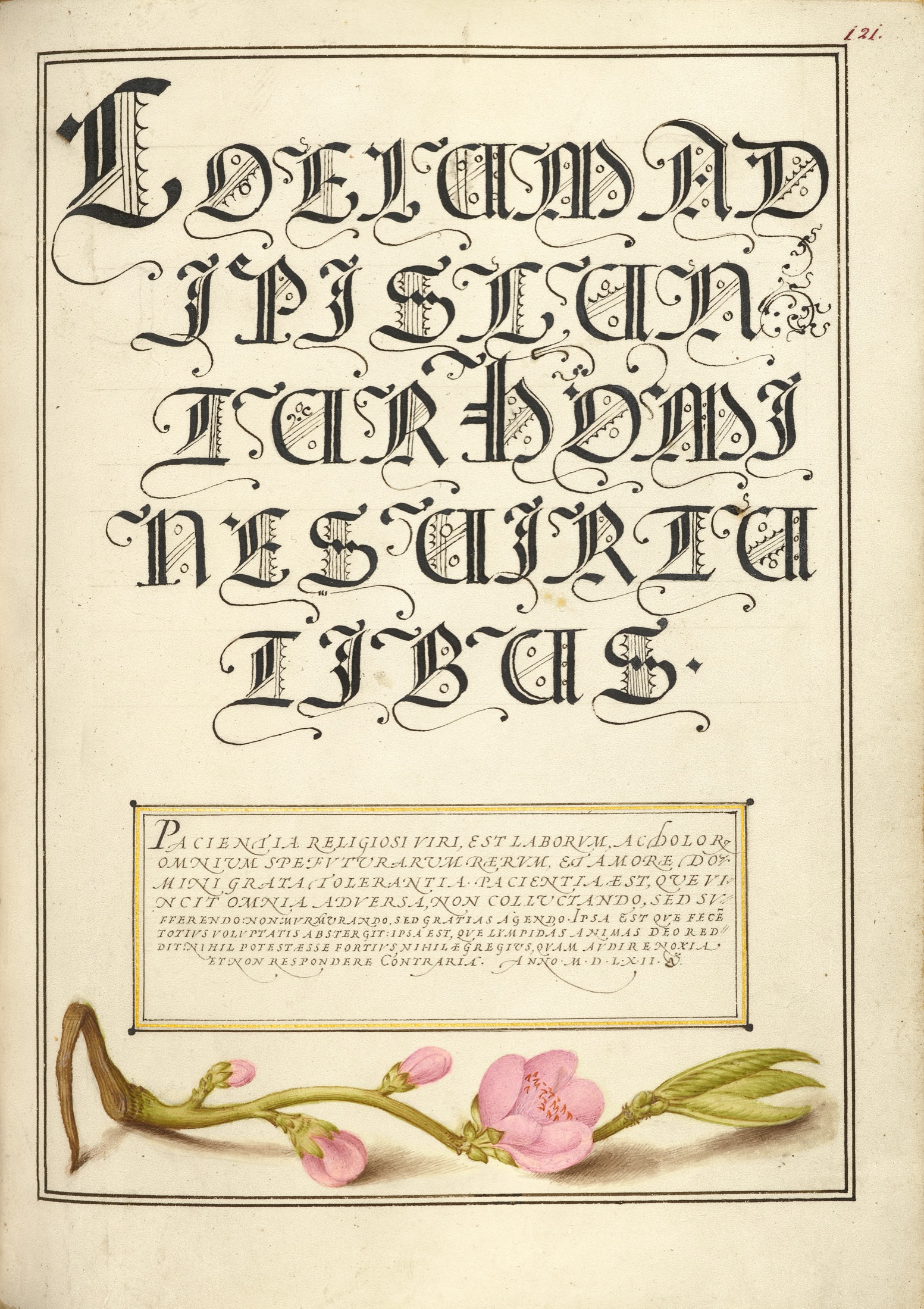 Almond in Flower — Joris Hoefnagel (Illuminator); Georg Bocskay (Scribe)