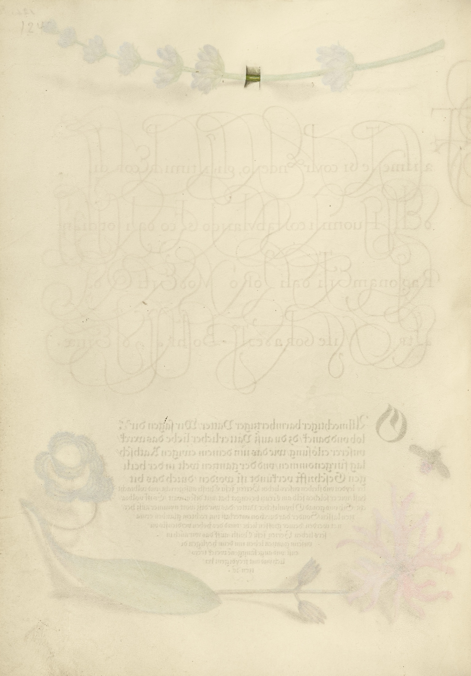 Trompe l'Oeil Stem of a Hyssop — Joris Hoefnagel (Illuminator)