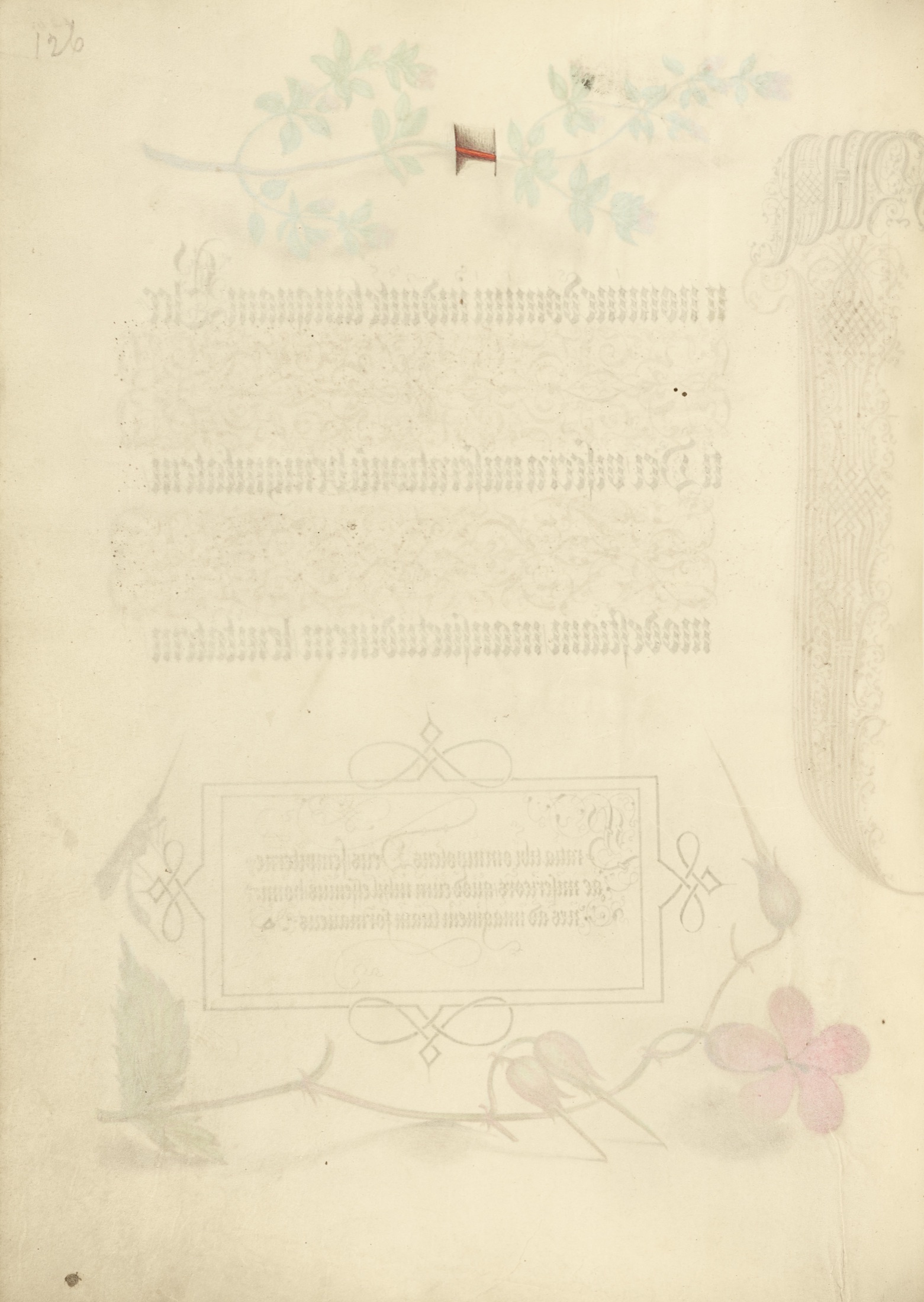 Trompe l'Oeil Stem of Basil Thyme — Joris Hoefnagel (Illuminator); Georg Bocskay (Scribe)
