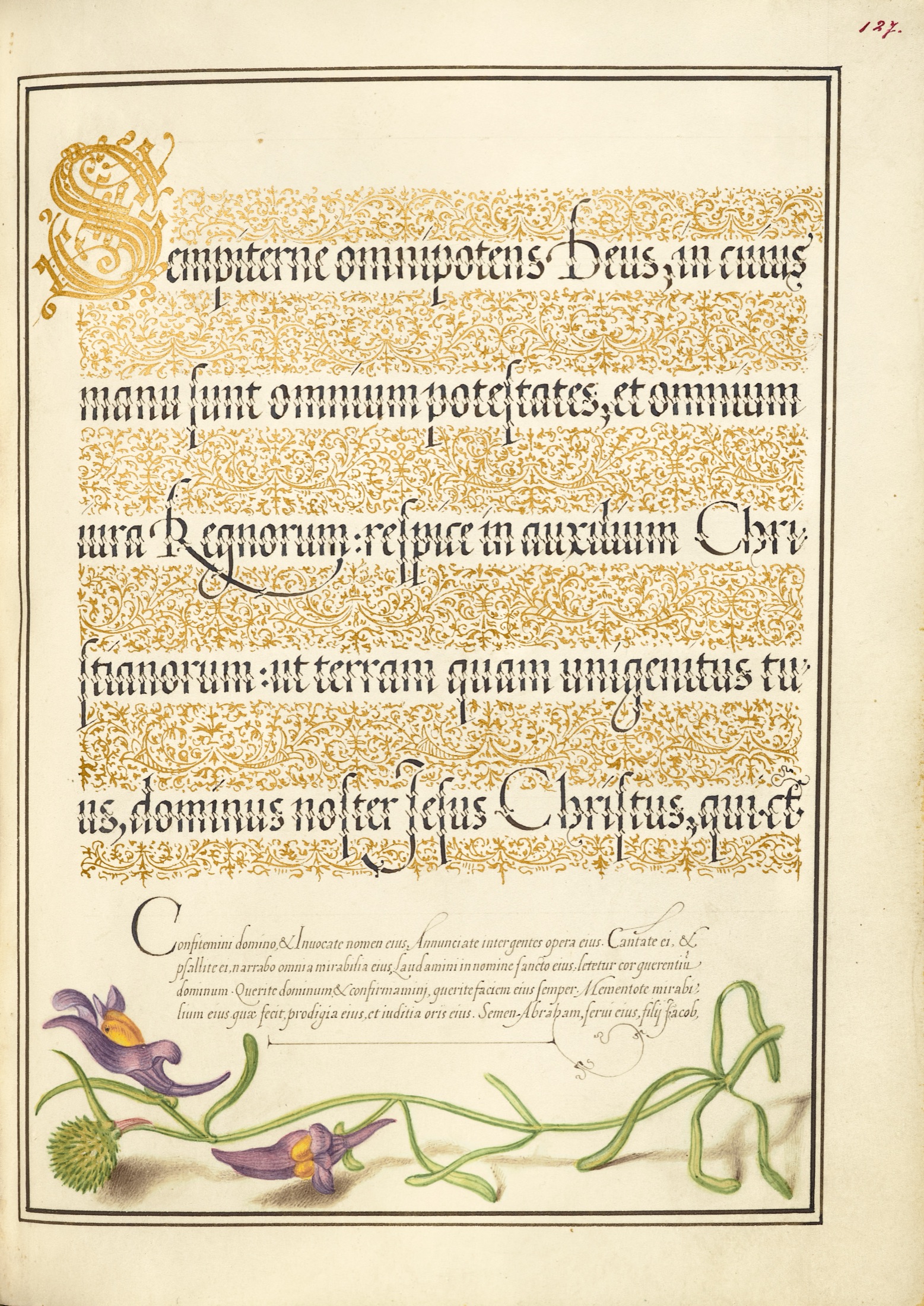 Toadflax — Joris Hoefnagel (Illuminator); Georg Bocskay (Scribe)