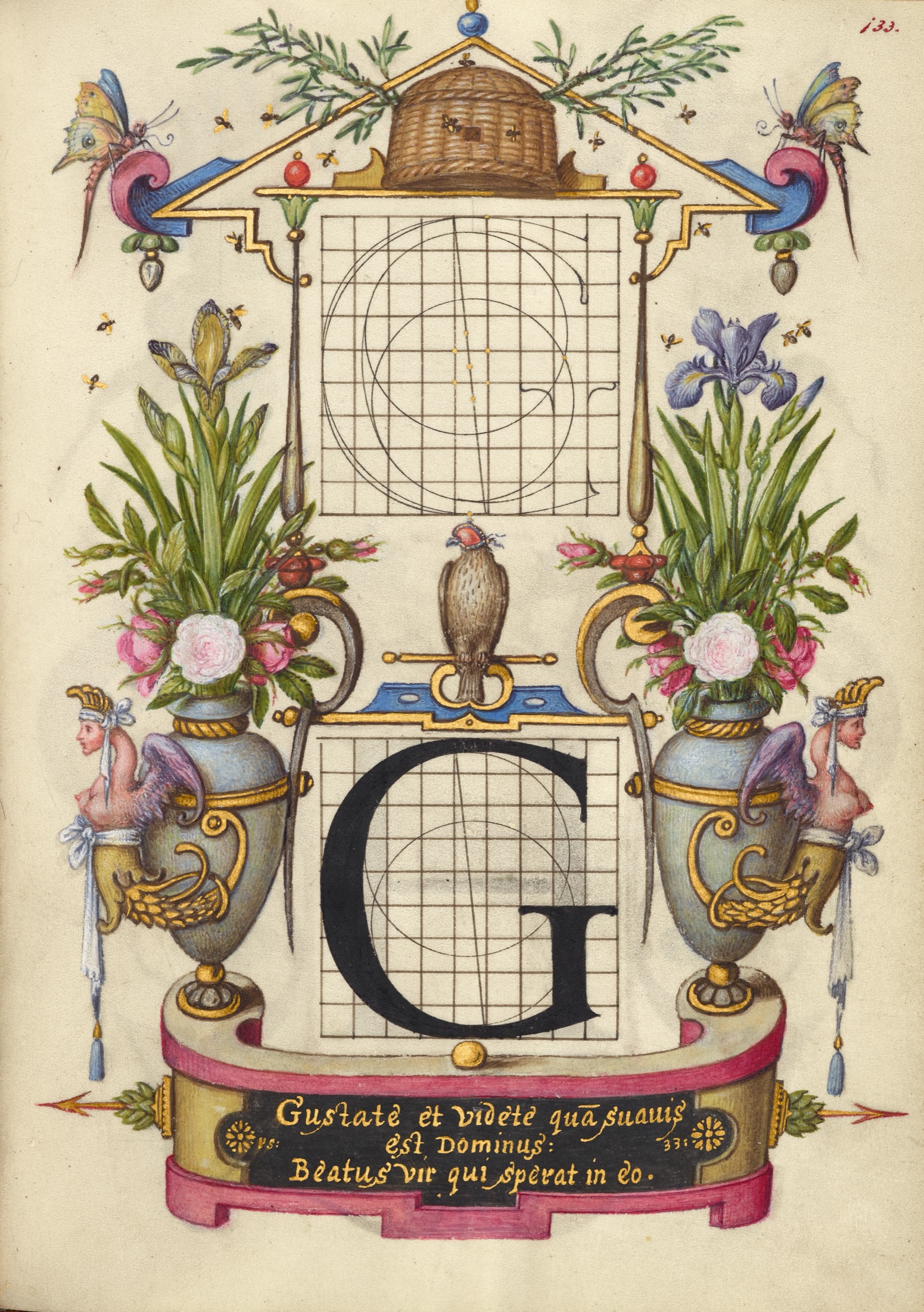 Guide for Constructing the Letter G — Joris Hoefnagel (Illuminator)