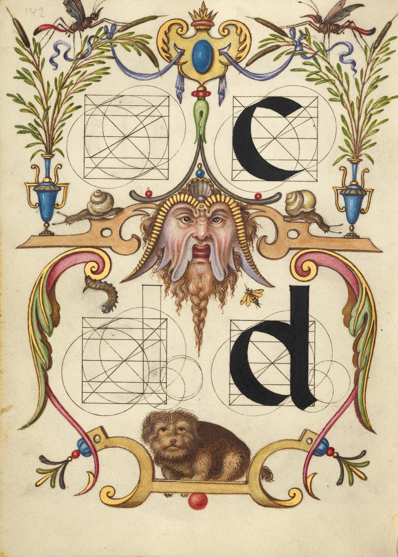 Guide for Constructing the Letters c and d — Joris Hoefnagel (Illuminator)