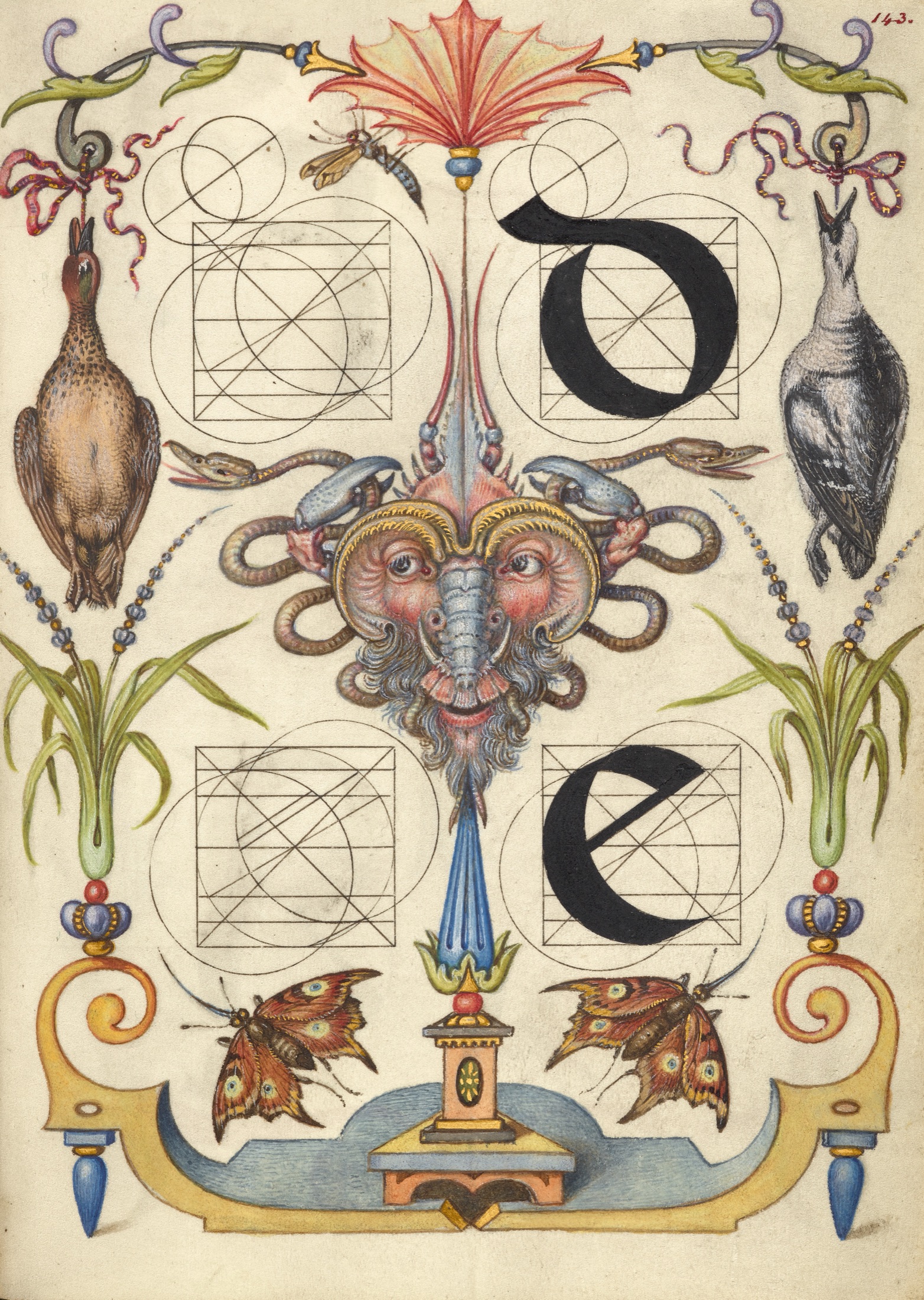 Guide for Constructing the Letters d and e — Joris Hoefnagel (Illuminator)