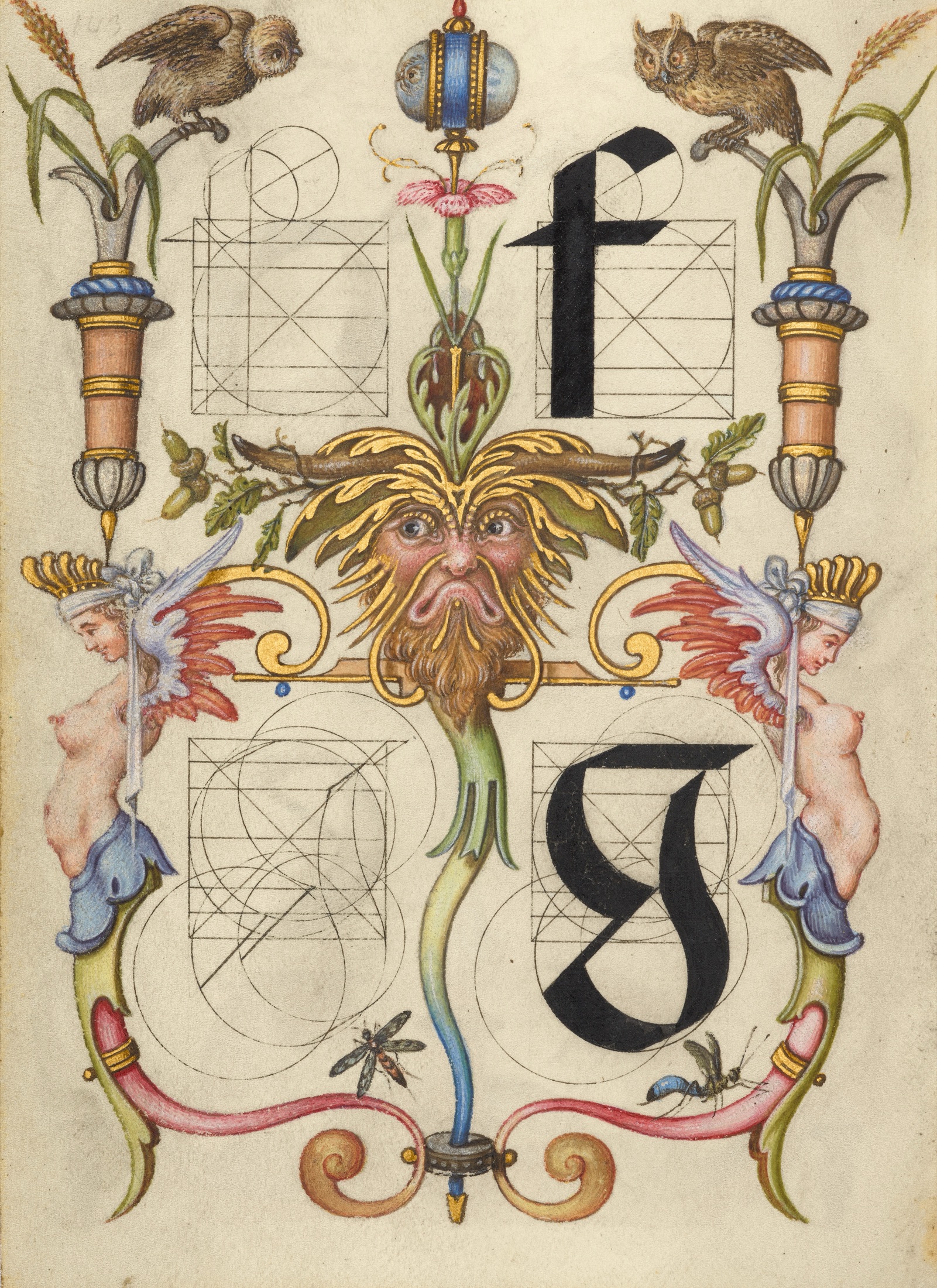 Guide for Constructing the Letters f and g — Joris Hoefnagel (Illuminator)