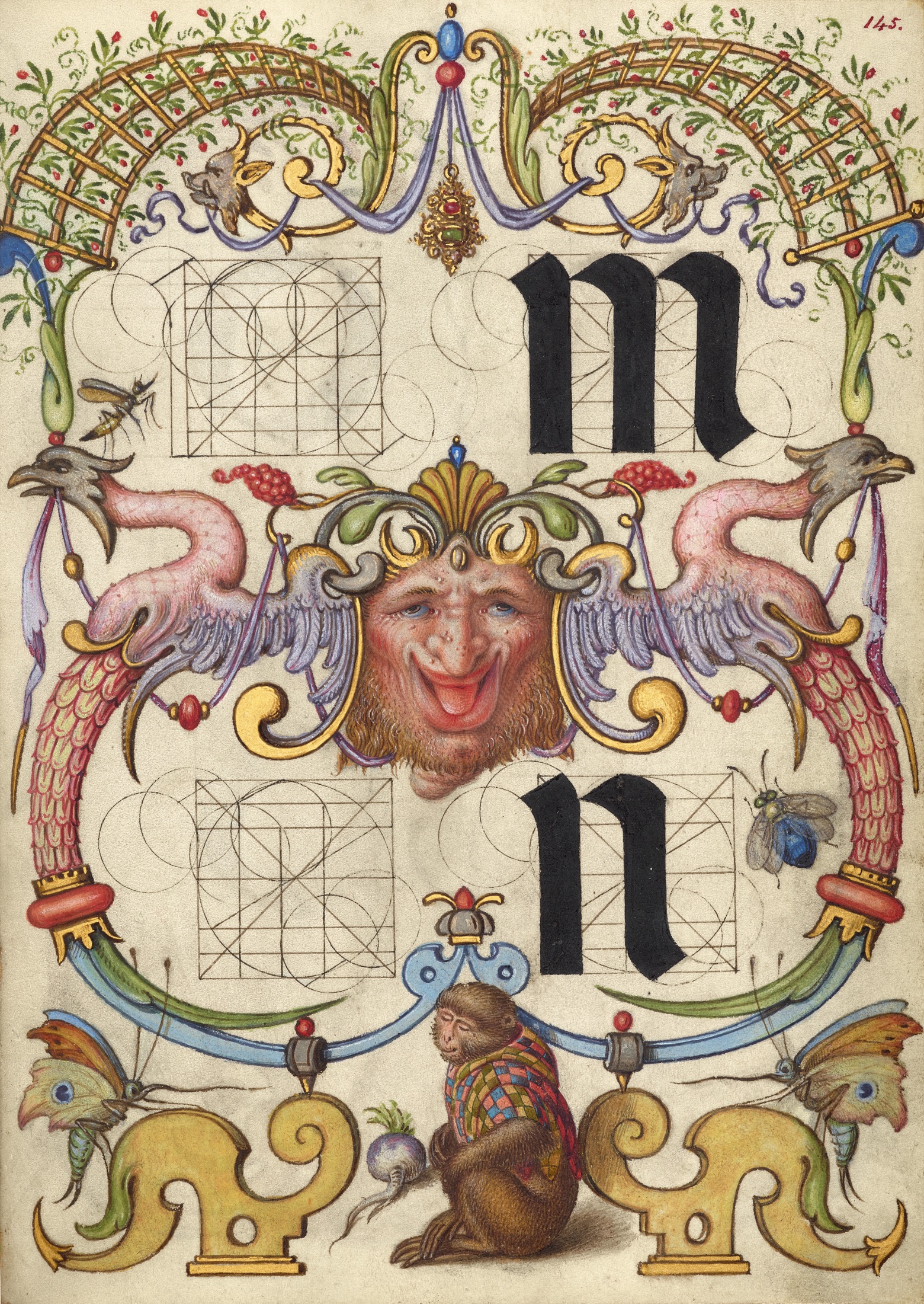 Guide for Constructing the Letters m and n — Joris Hoefnagel (Illuminator)