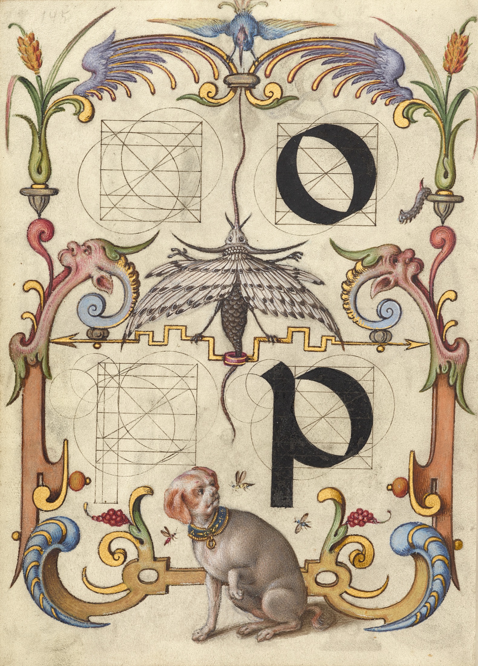 Guide for Constructing the Letters o and p — Joris Hoefnagel (Illuminator)