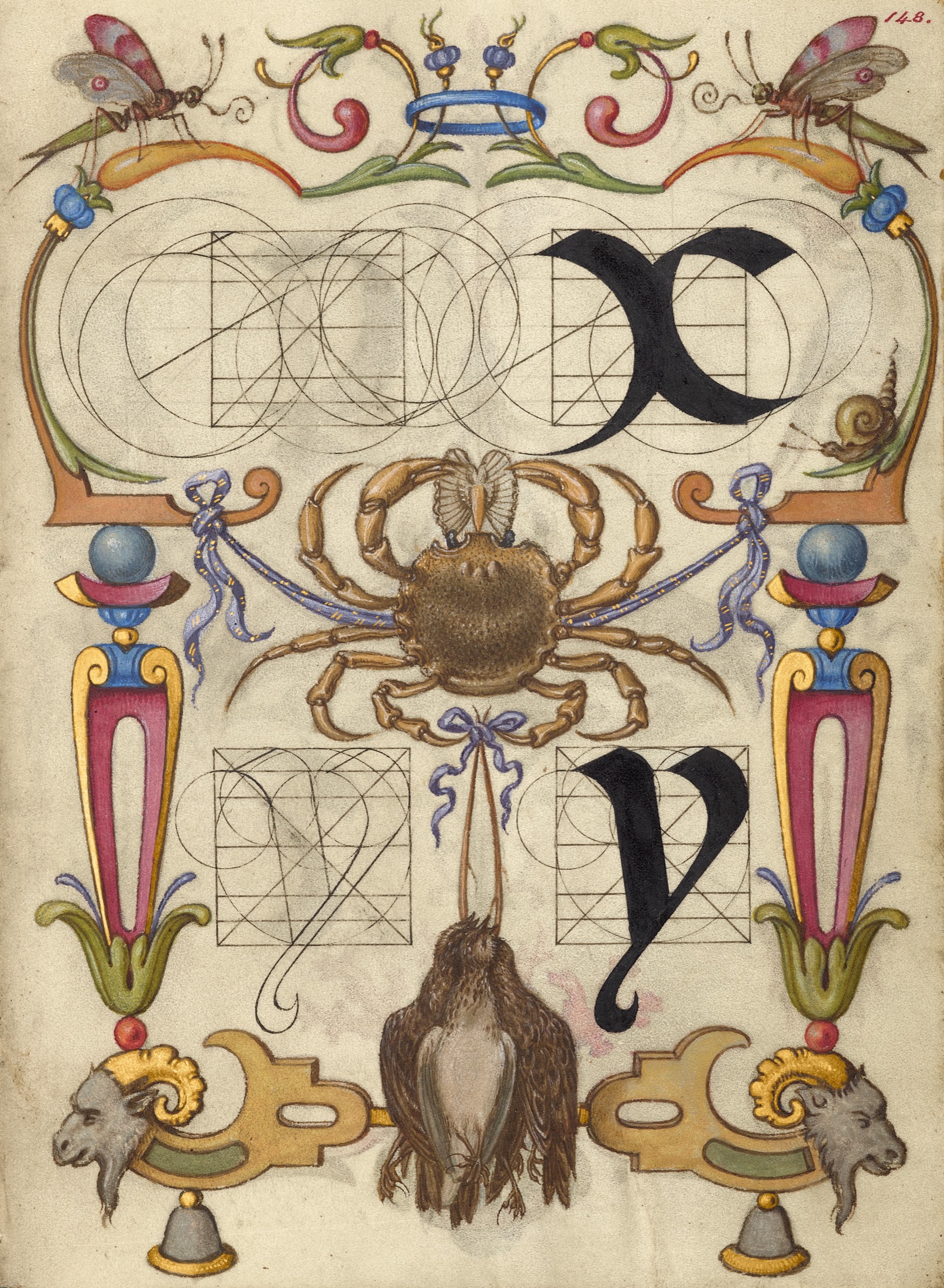 Guide for Constructing the Letters x and y — Joris Hoefnagel (Illuminator)