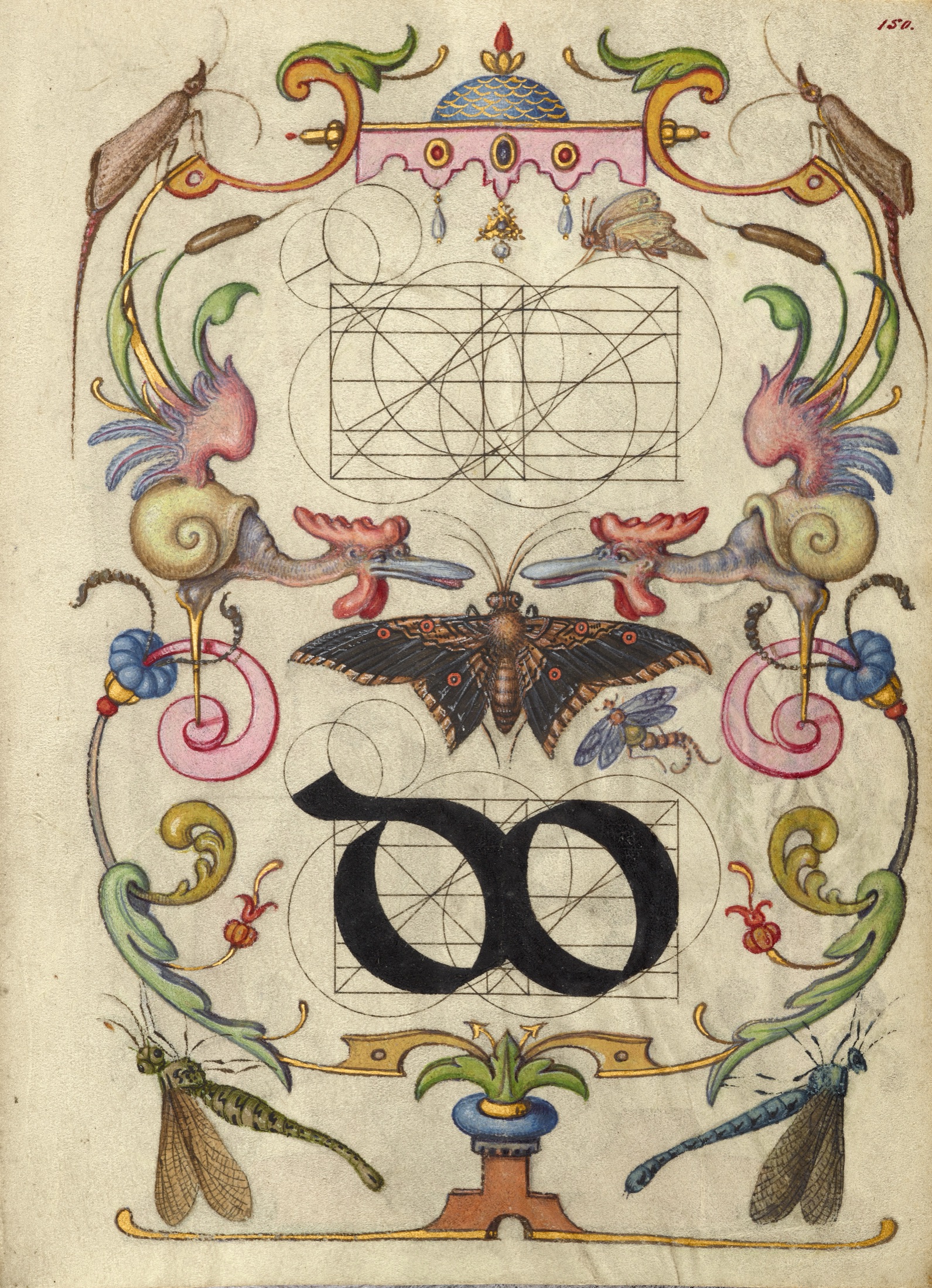 Guide for Constructing the Ligature do — Joris Hoefnagel (Illuminator)