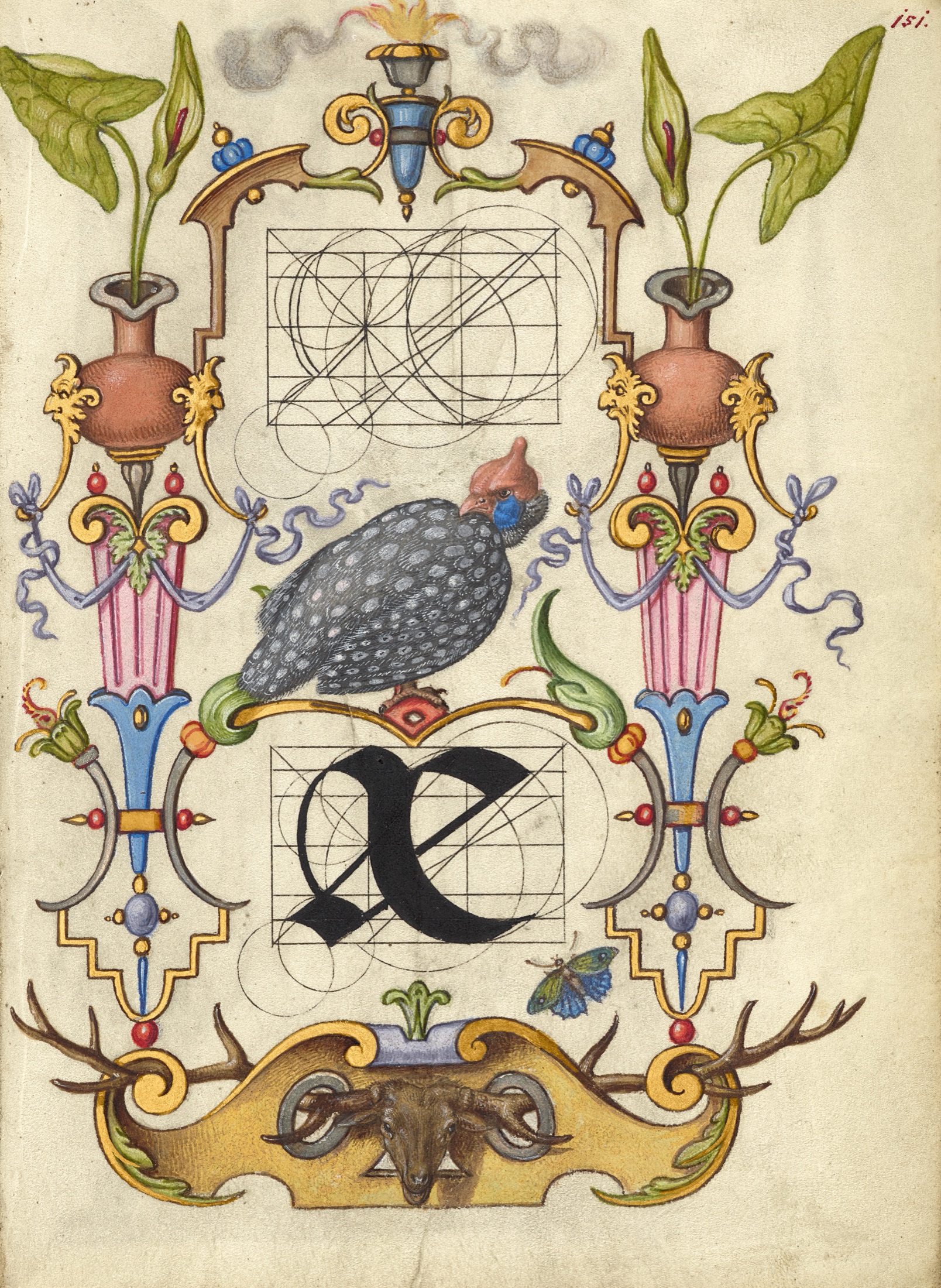 Guide for Constructing the Ligature ae — Joris Hoefnagel (Illuminator)