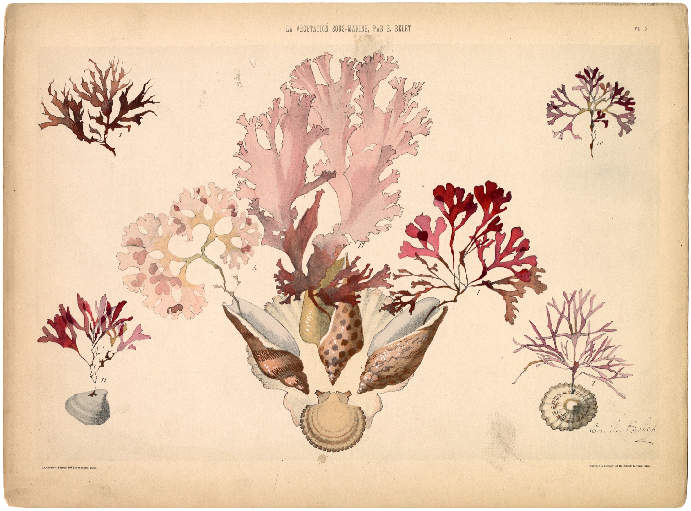Plate 04 — Belet, E. (Emile).