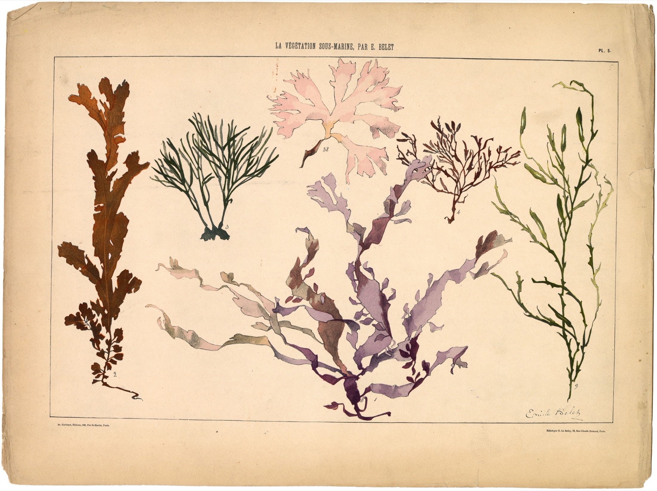 Plate 06 — Belet, E. (Emile).