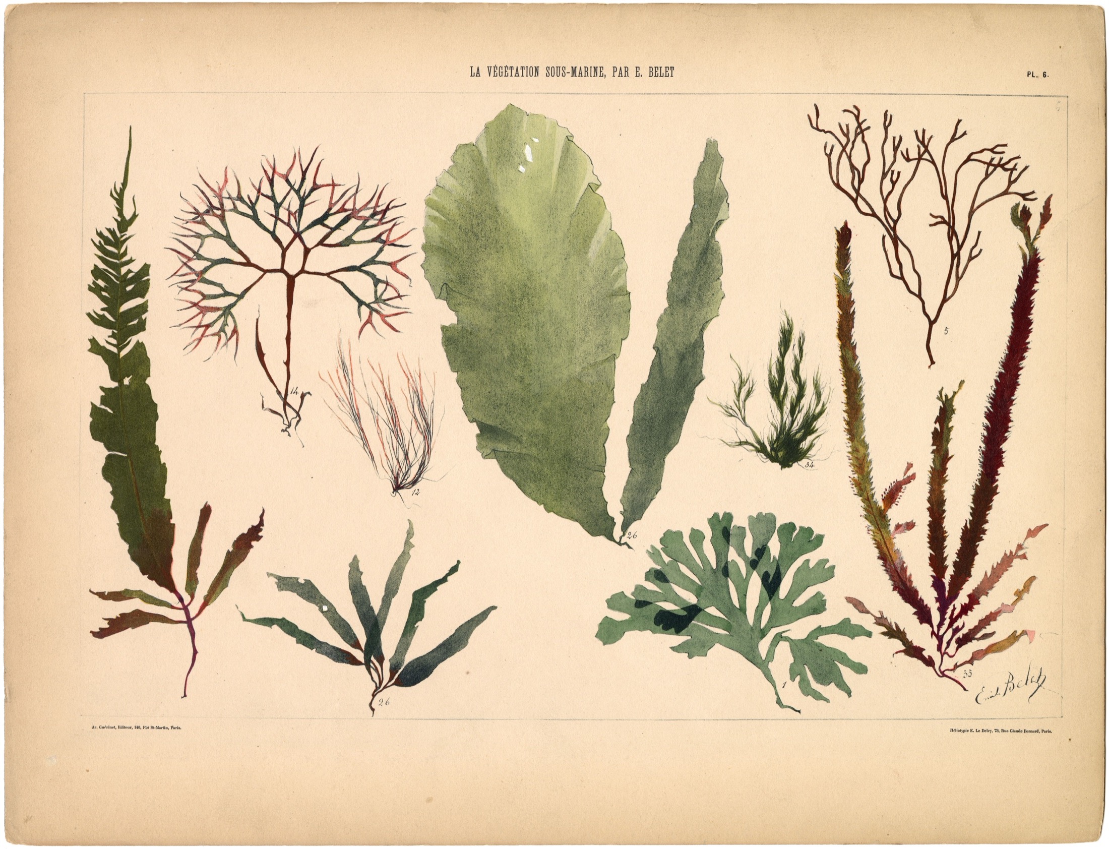 Plate 07 — Belet, E. (Emile).
