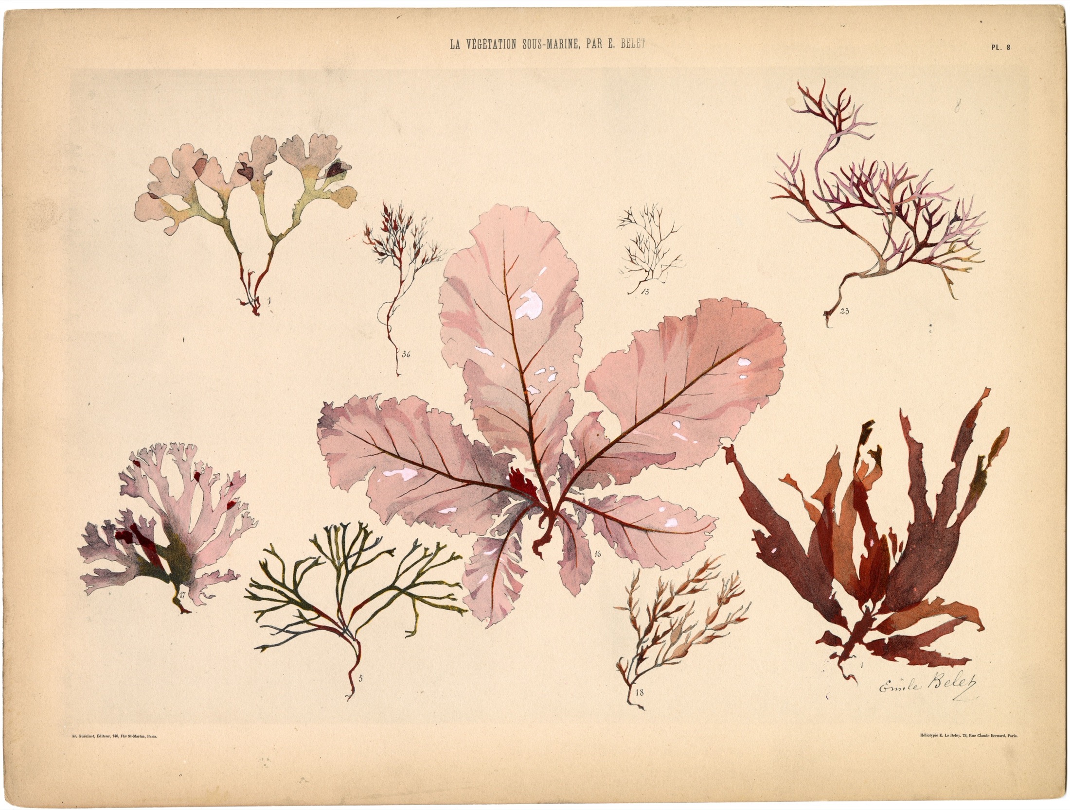 Plate 09 — Belet, E. (Emile).