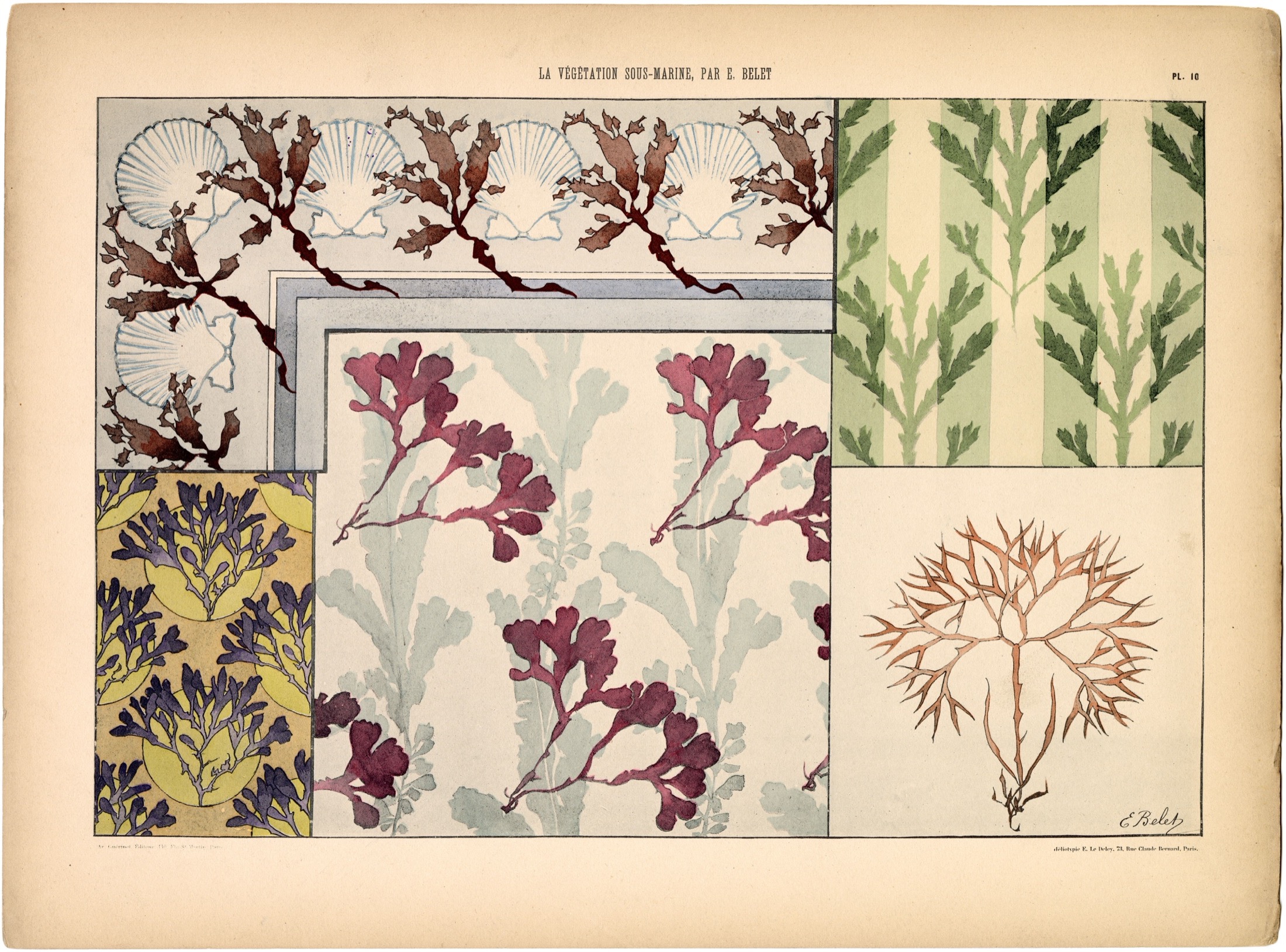 Plate 11 — Belet, E. (Emile).