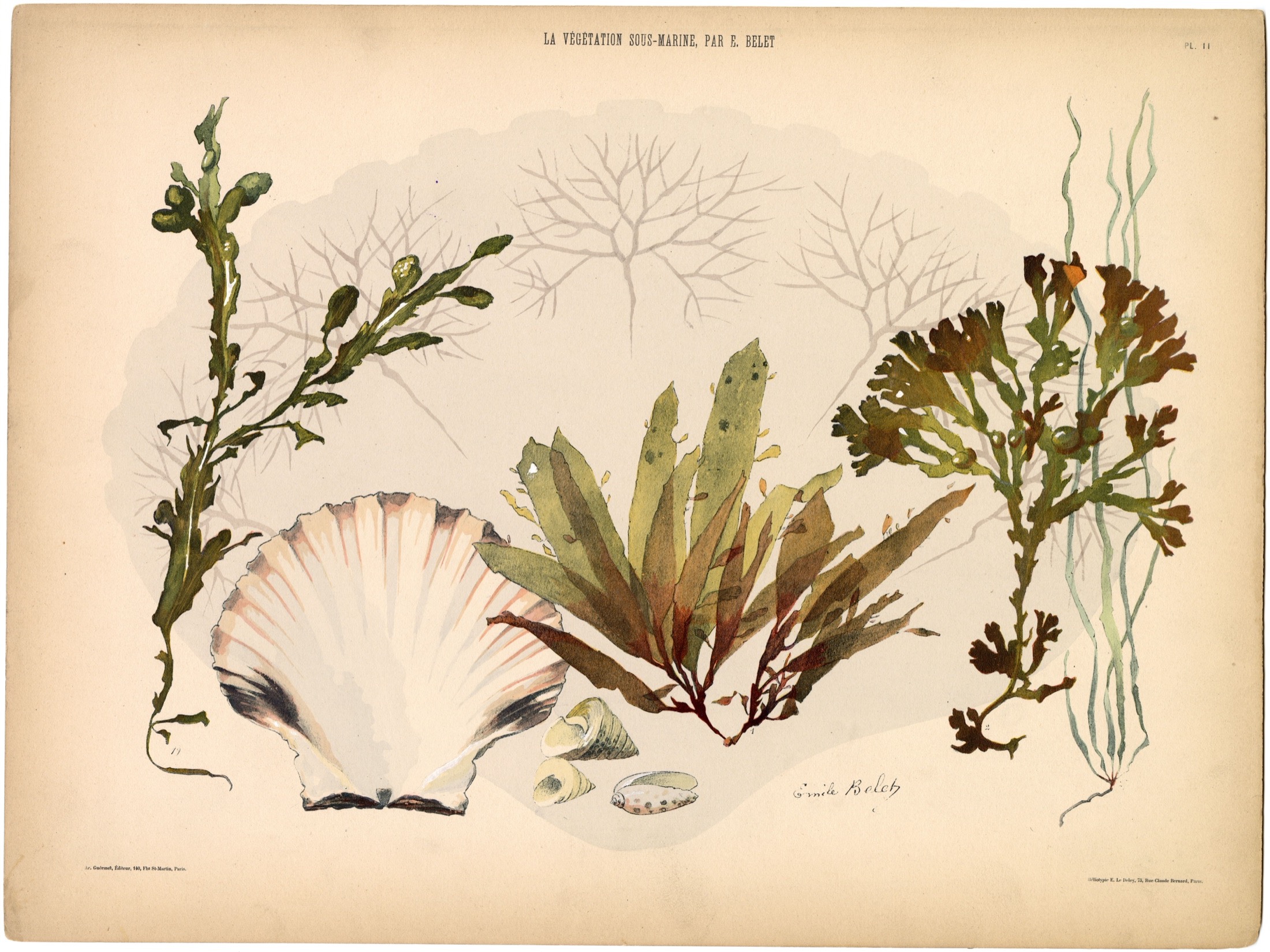 Plate 12 — Belet, E. (Emile).
