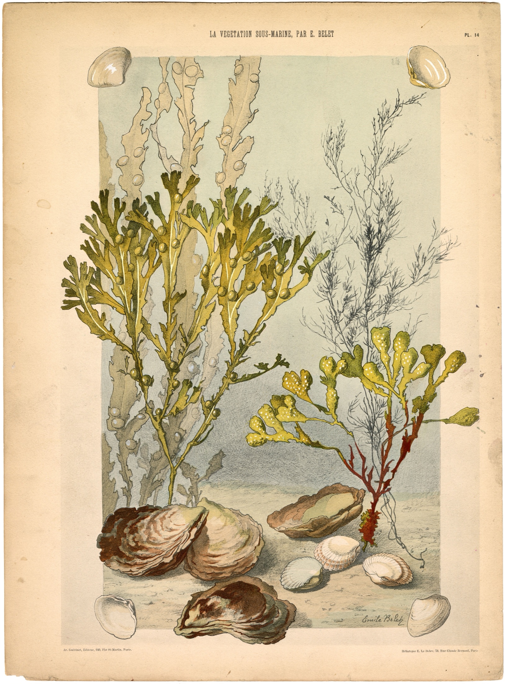 Plate 15 — Belet, E. (Emile).