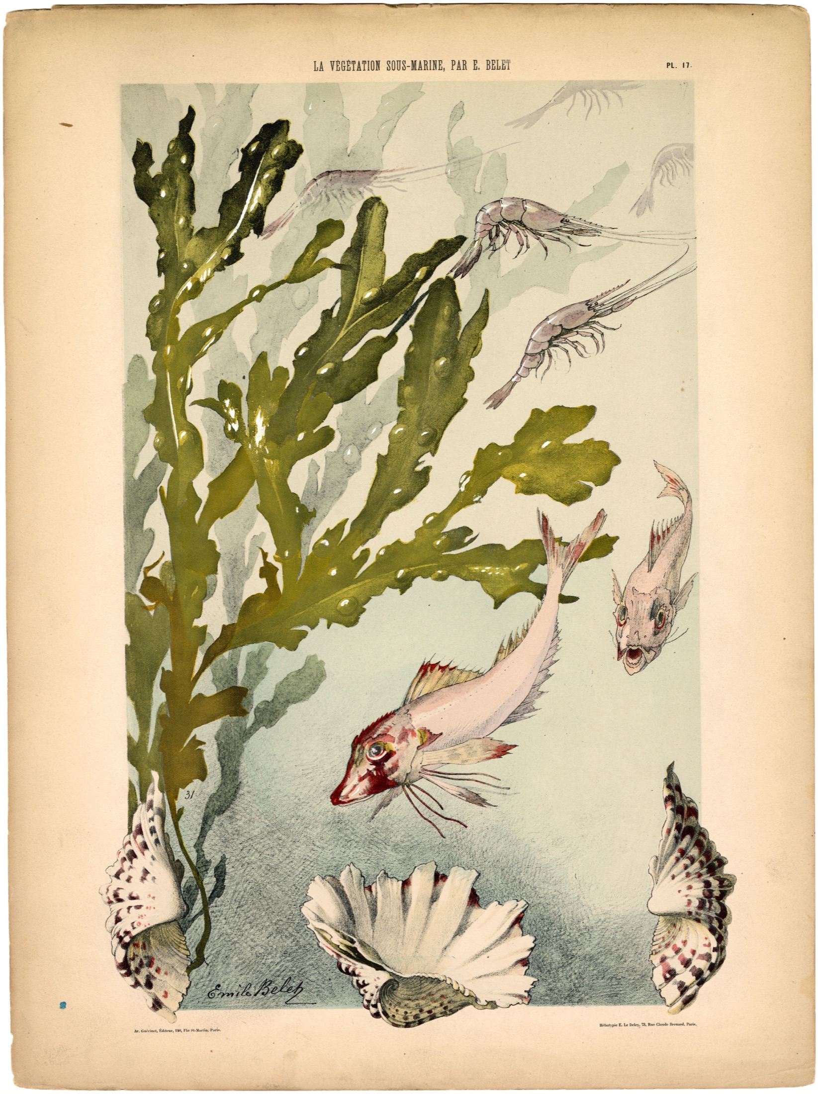 Plate 18 — Belet, E. (Emile).