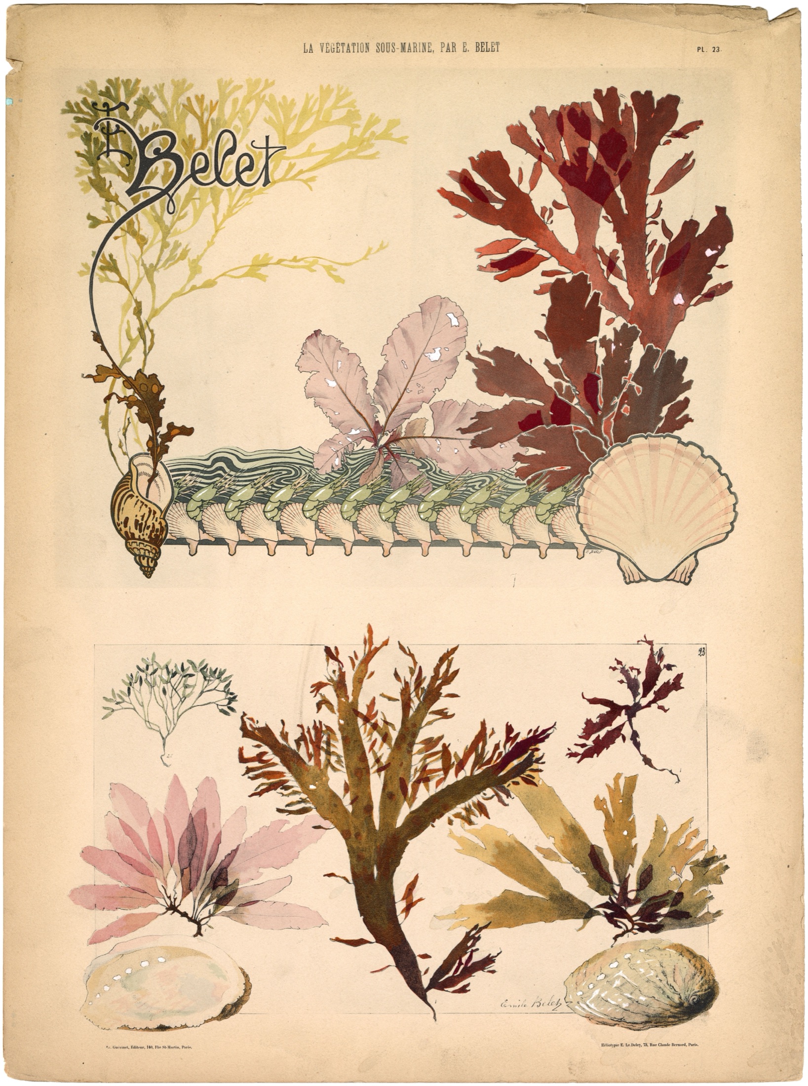 Plate 23 — Belet, E. (Emile).