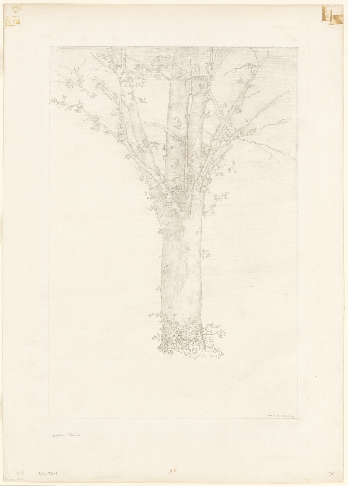 Tree — Odilon Redon; French, 1840-1916
