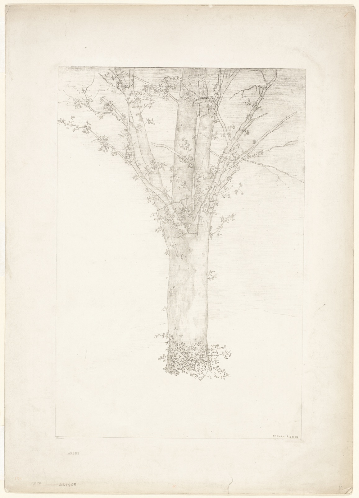 Tree — Odilon Redon; French, 1840-1916