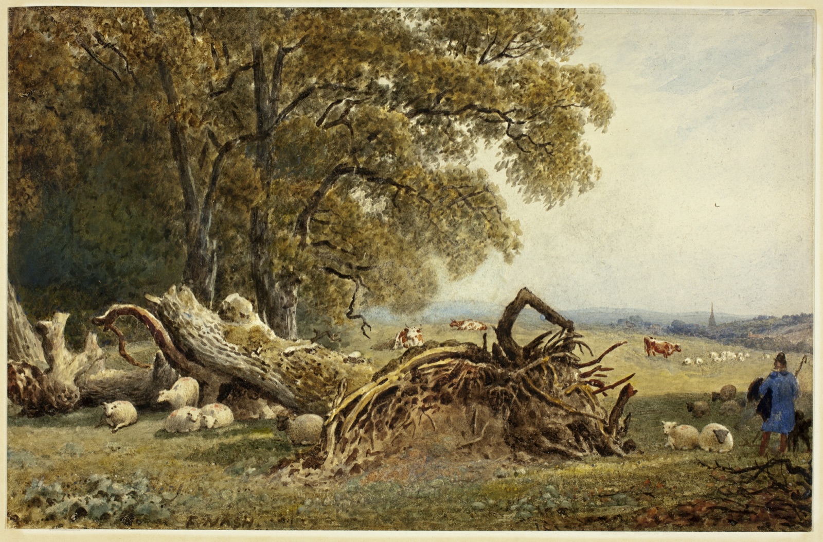 Sheep, Cows, and Herdsman by Uprooted Tree — Nash, Frederick; English, 1782-1856