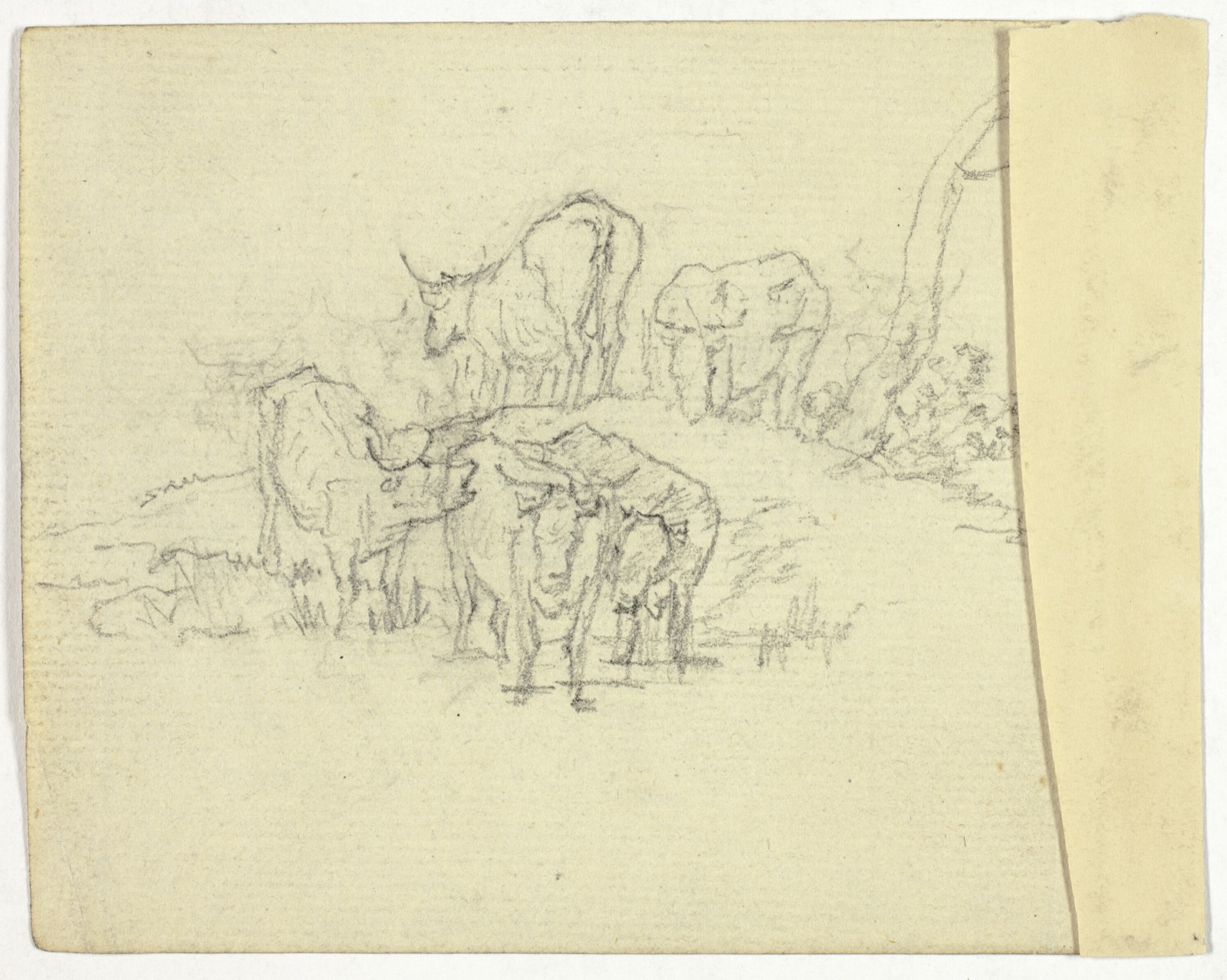Cattle (recto); The Charlatan (verso) — William Henry Pyne; English, 1769-1843