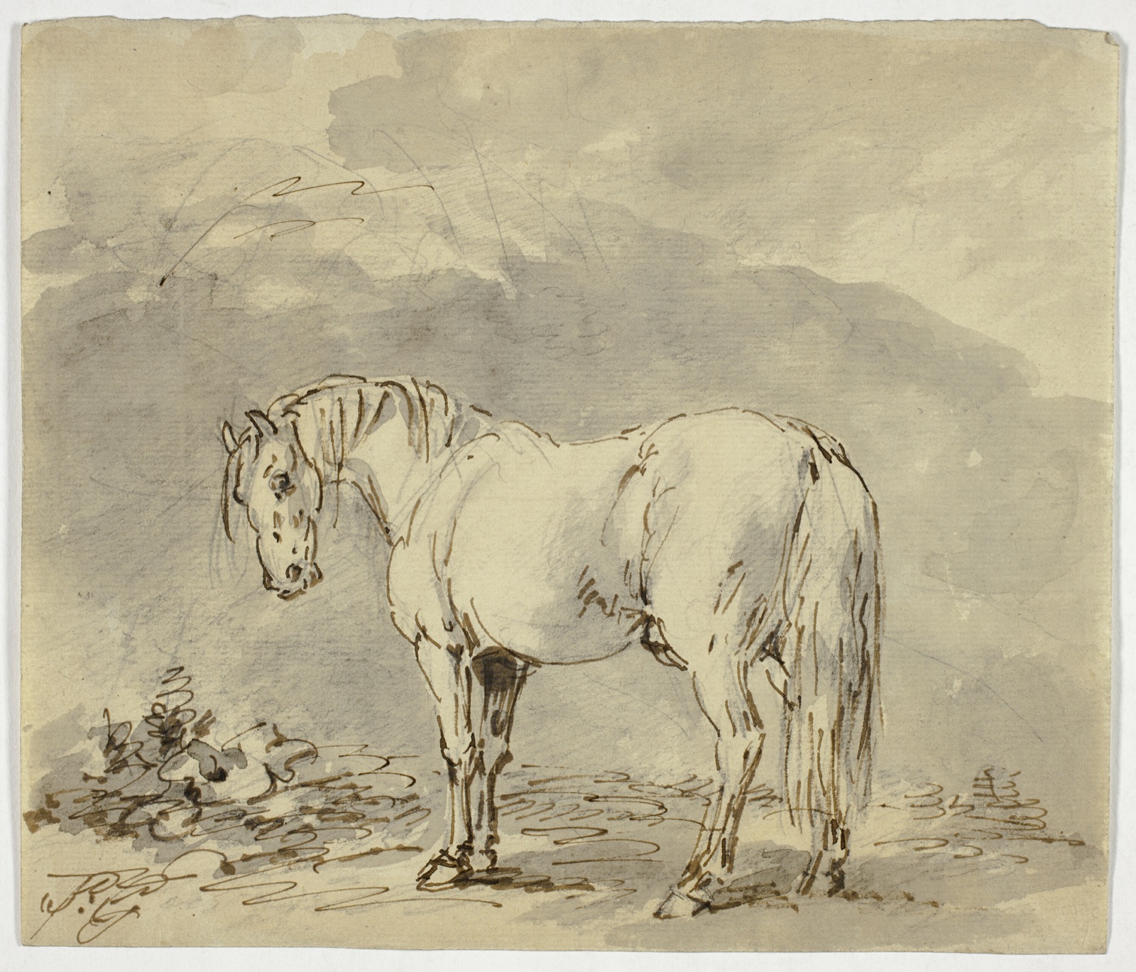 Standing Horse with Head Turned — Sawrey Gilpin; English, 1733-1807