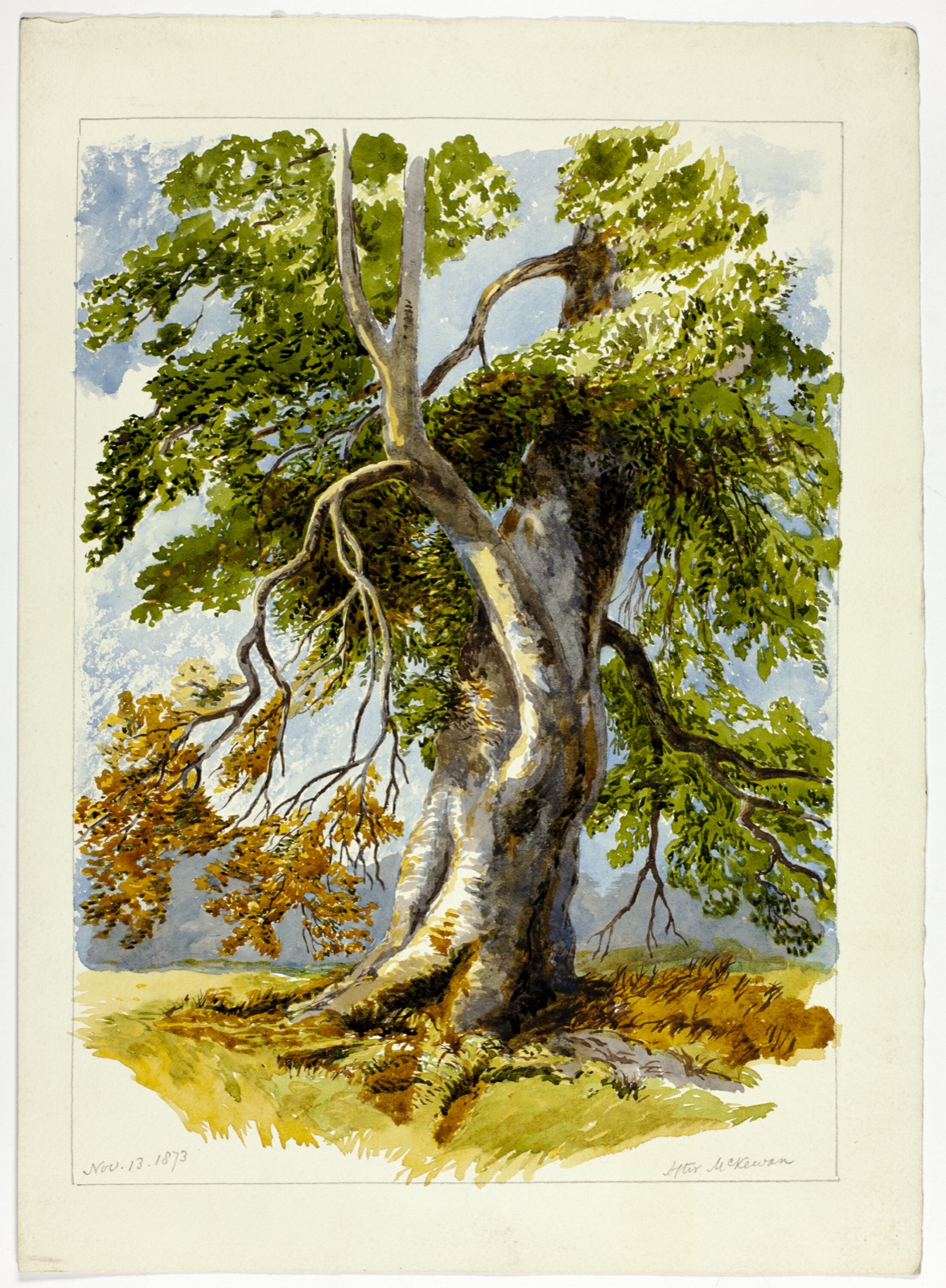 Gnarled Tree — After David Hall McKewan; English, 1816/17-1873