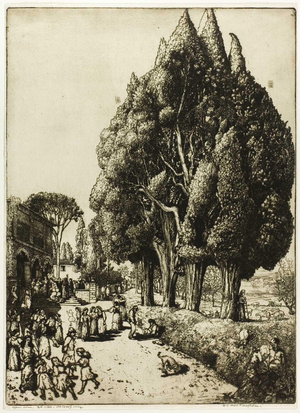 Cypress Grove — Donald Shaw MacLaughlan; American, born Canada, 1876-1938