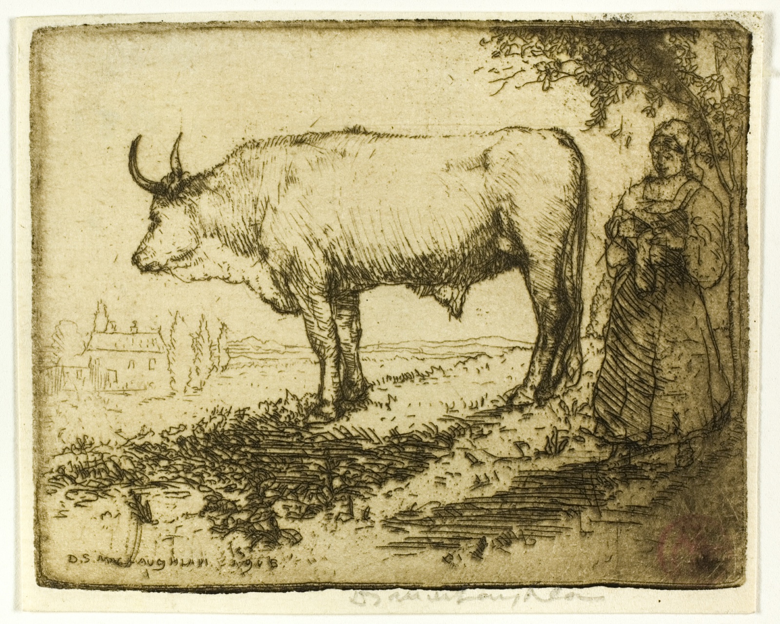 The White Ox — Donald Shaw MacLaughlan; American, born Canada, 1876-1938
