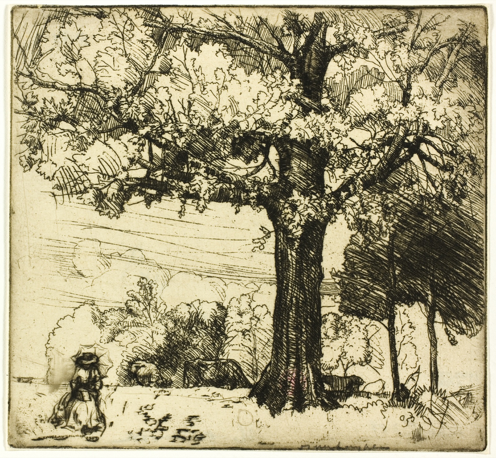 The Great Oak — Donald Shaw MacLaughlan; American, born Canada, 1876-1938