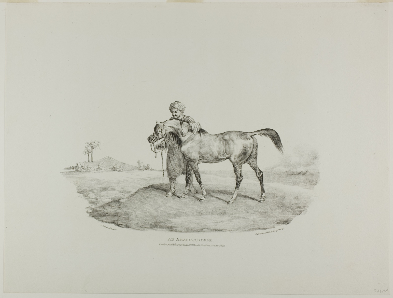 An Arabian Horse, plate 8 from Various Subjects Drawn from Life and on Stone (The English Suite) — Jean Louis André Théodore Géricault (French, 1791-1824); printed by Charles Joseph Hullmandel (German and English, 1789-1850); published by Rodwell and Martin