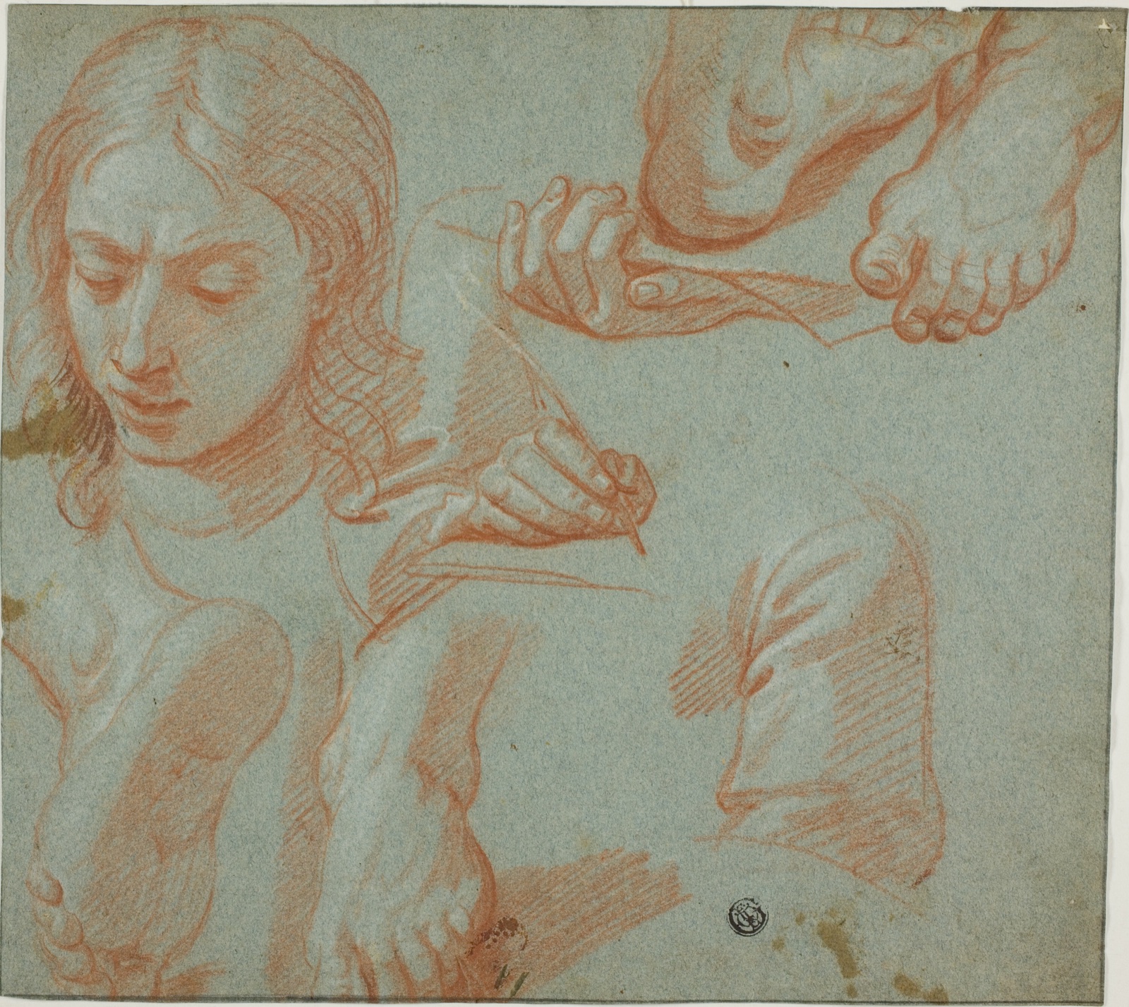 Sketches of Head, Hands, Shoulder, and Feet — Style of Agostino Masucci; Italian, c. 1691-1758
