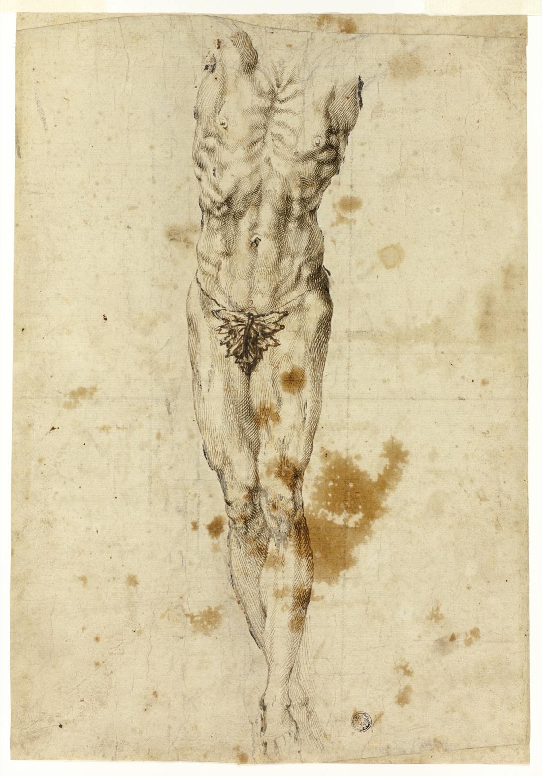 Crucified Christ or Marsyas — Follower of Michelangelo Buonarroti; Italian, late 16th century