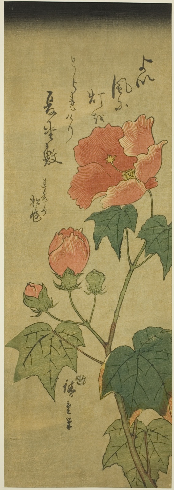 Hibiscus — Utagawa Hiroshige 歌川 広重; Japanese, 1797-1858