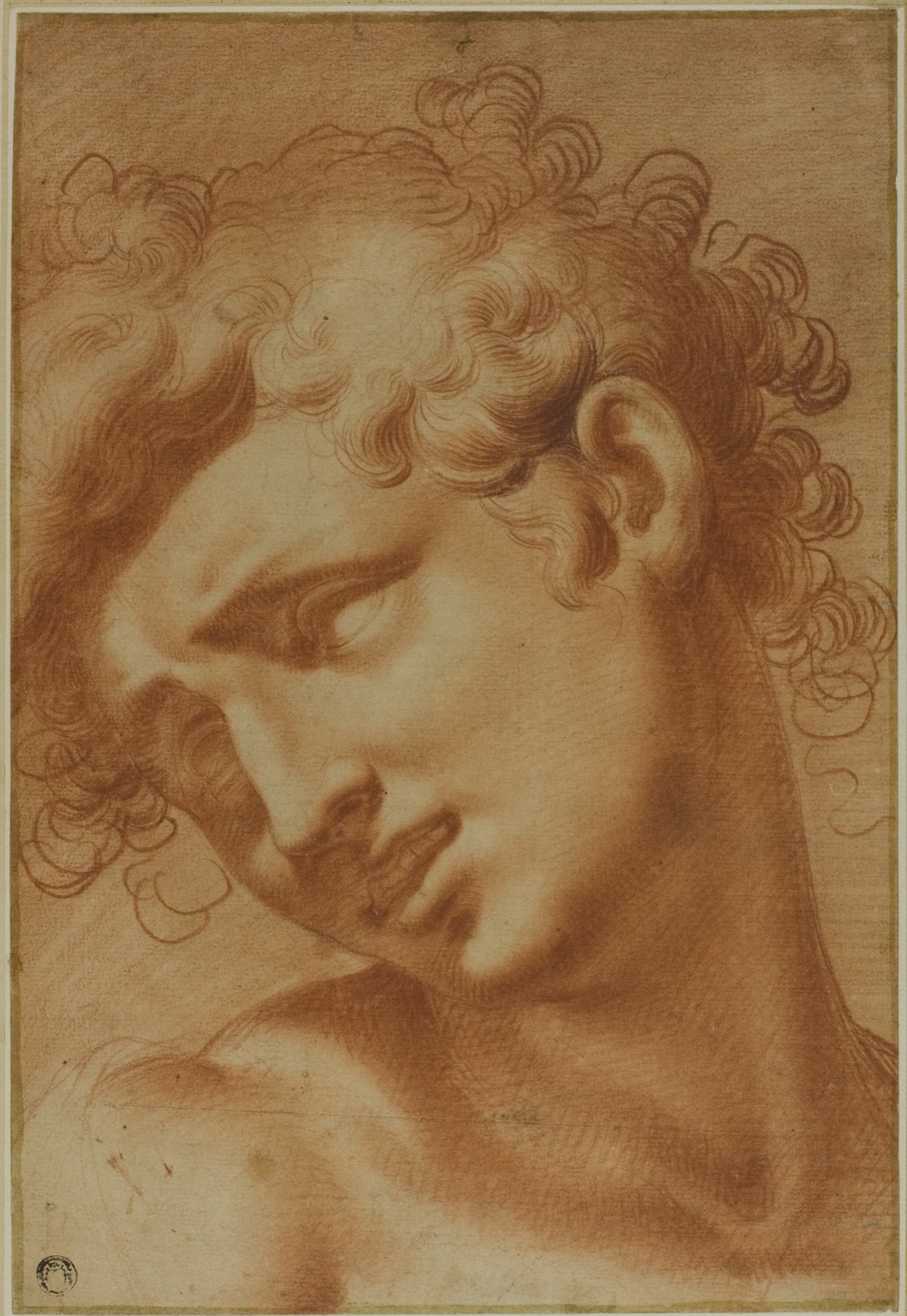 Head of a Youth — Cristofano Roncalli, called Il Pomarancio; Italian, 1552-1626