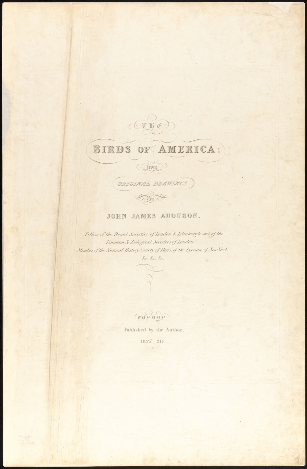 The birds of America — Audubon, John James, 1785-1851 (Artist)